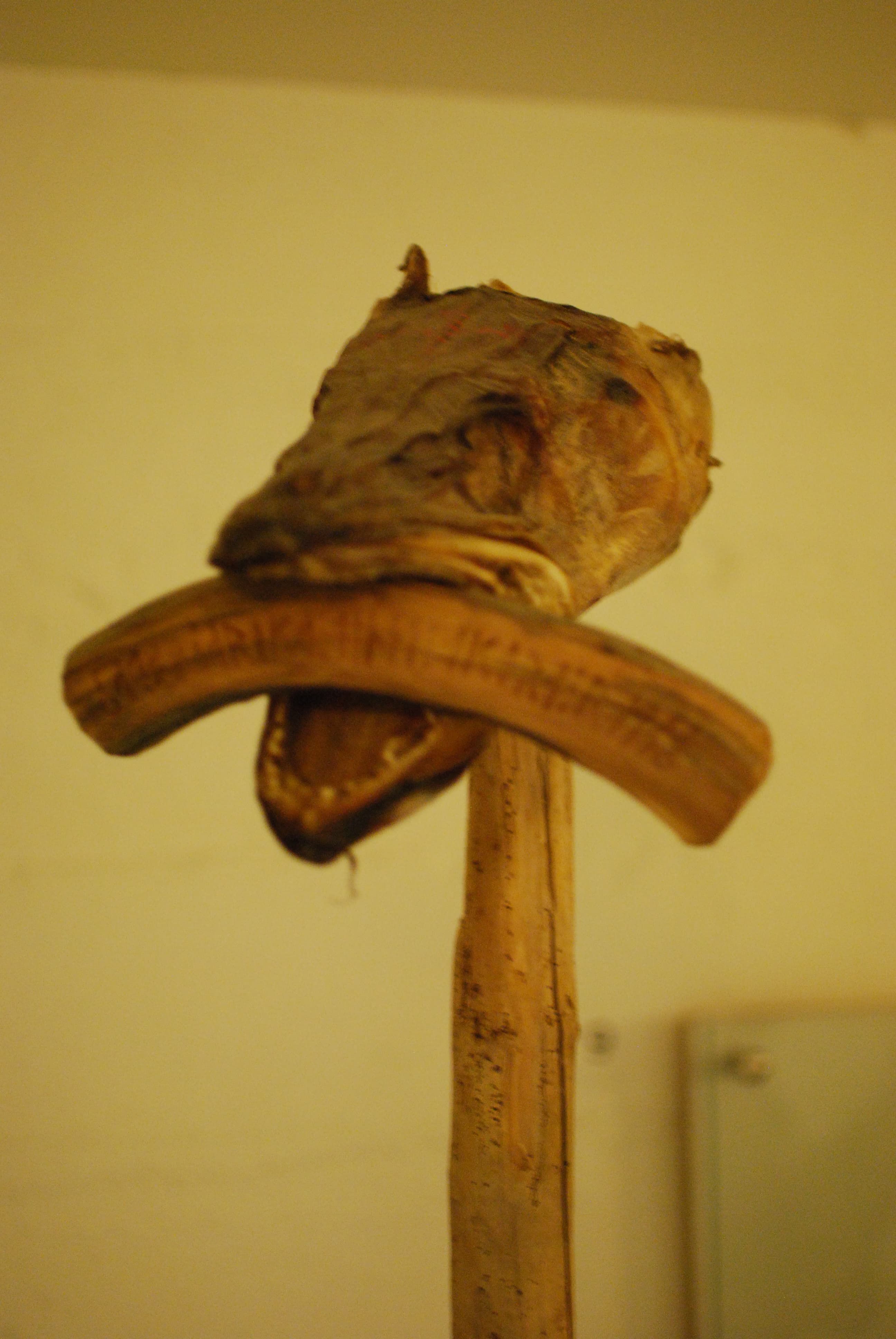 Witchcraft and Icelandic Magic - photo 2