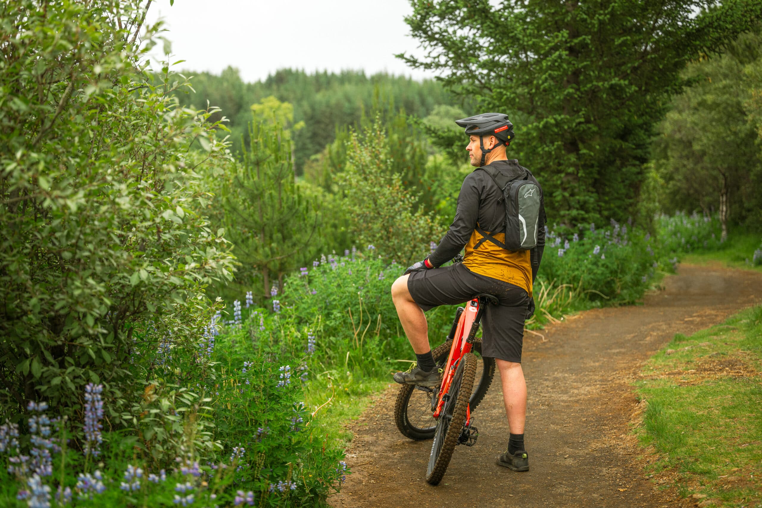 E-MOUNTAIN BIKE TOUR FOR BEGINNERS IN REYKJAVIK - photo 2