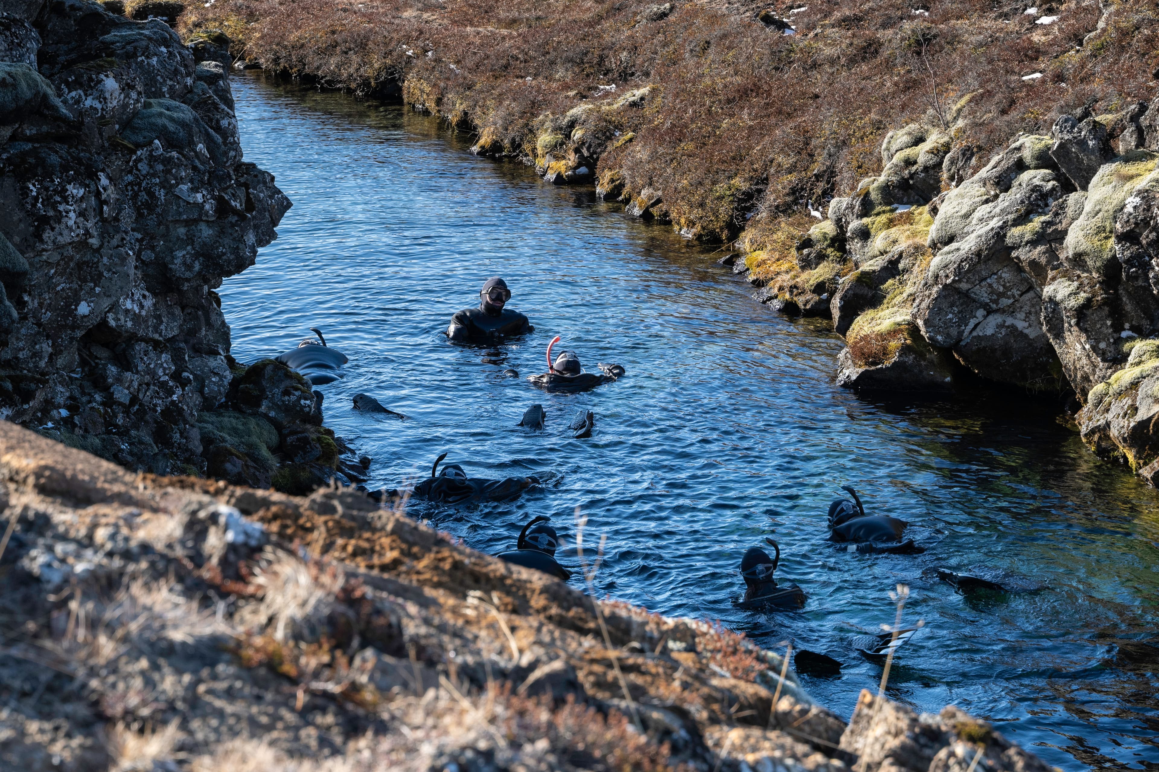 Small group Tour: Golden Snorkel: Golden Circle and Silfra Exploration - photo 13