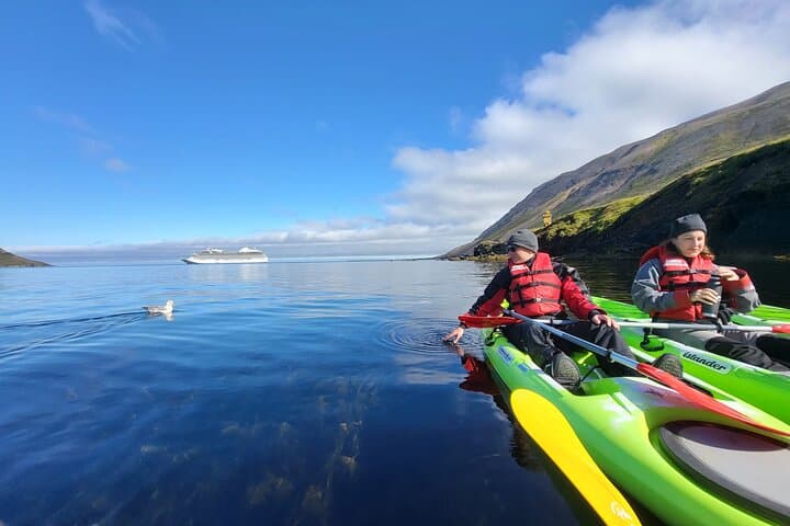 Guided kayak tour in Siglufjörður / Siglufjordur. - photo 5