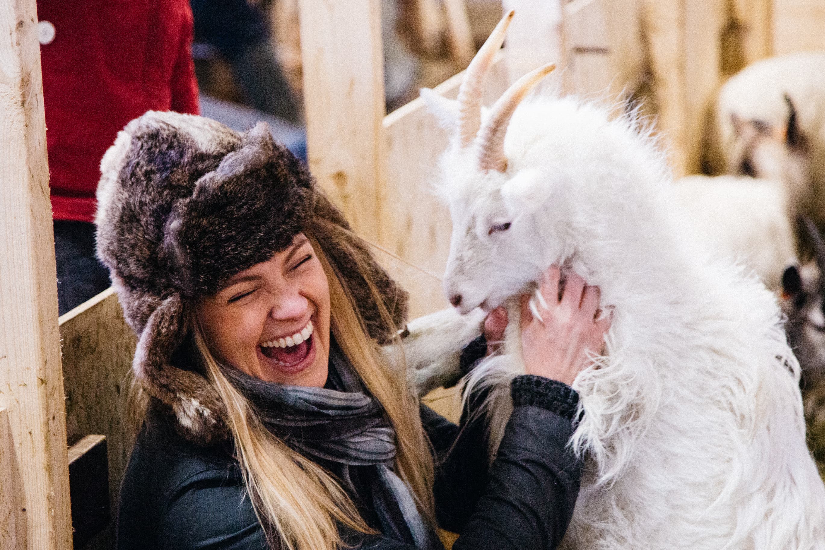 West Iceland | Private Tour - photo 11