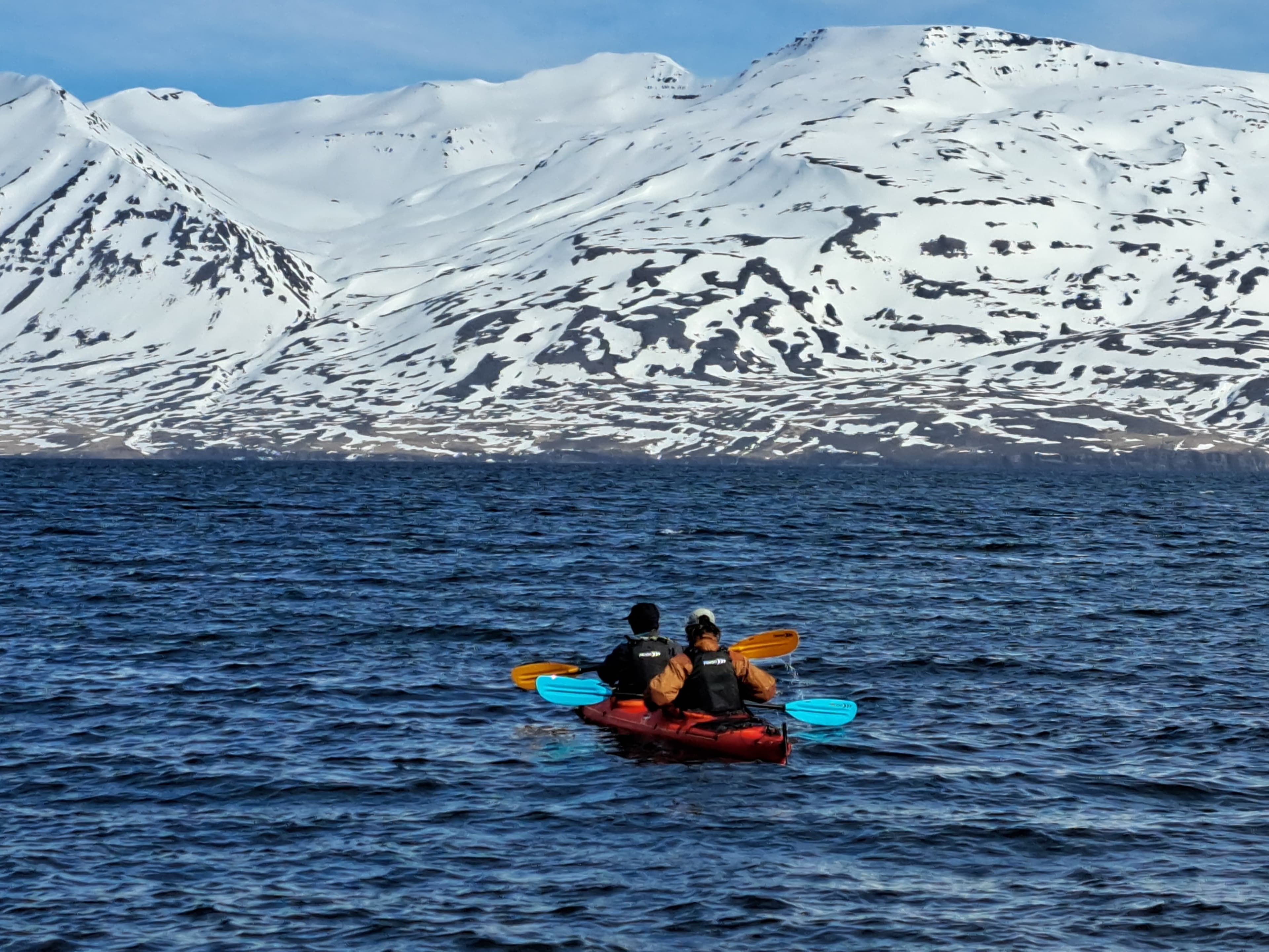 Guided Kayak Tour in Árskógssandur: Explore Coastline & Wildlife - photo 4