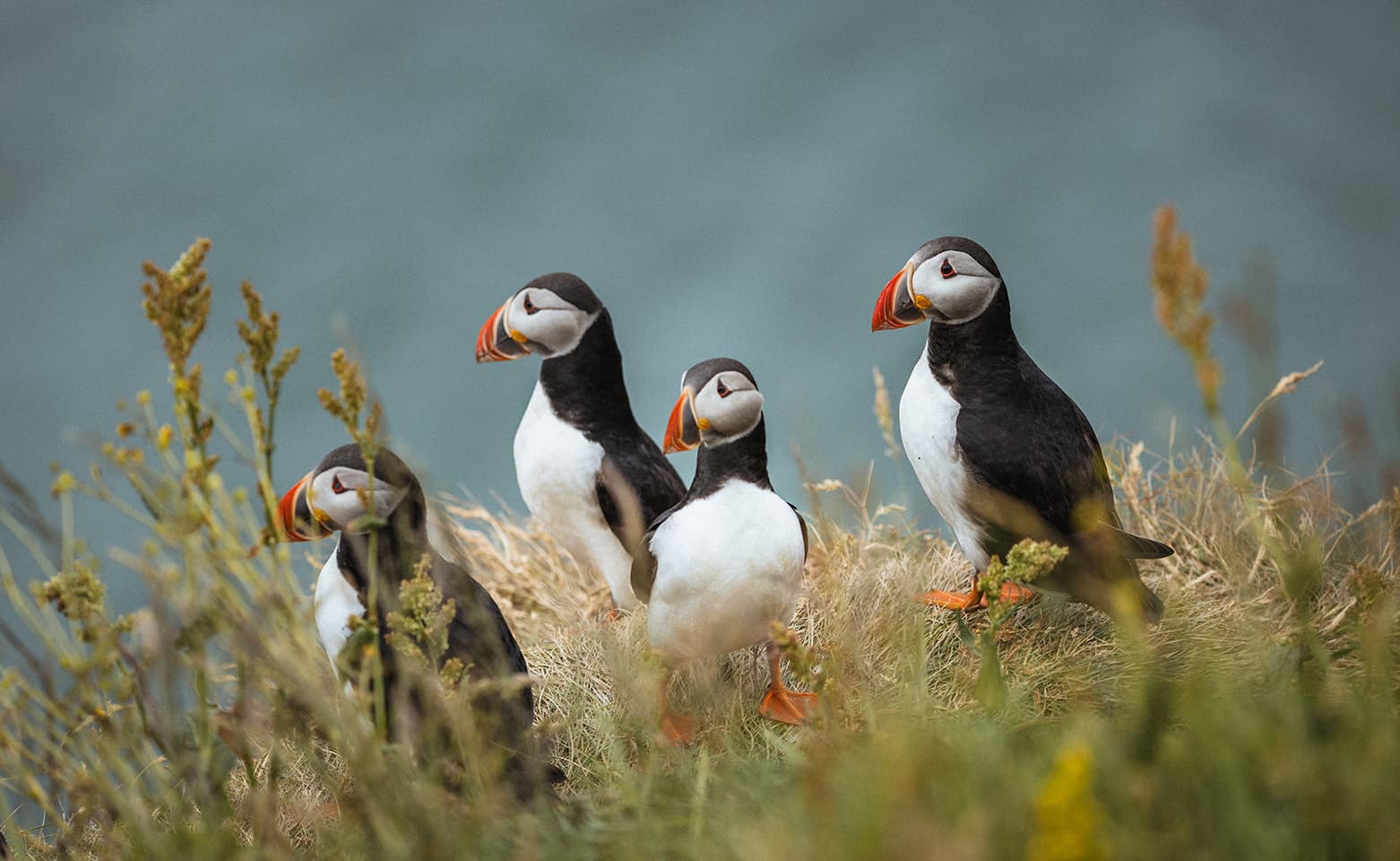 South Coast | Private Tour | Photo Package included - photo 9