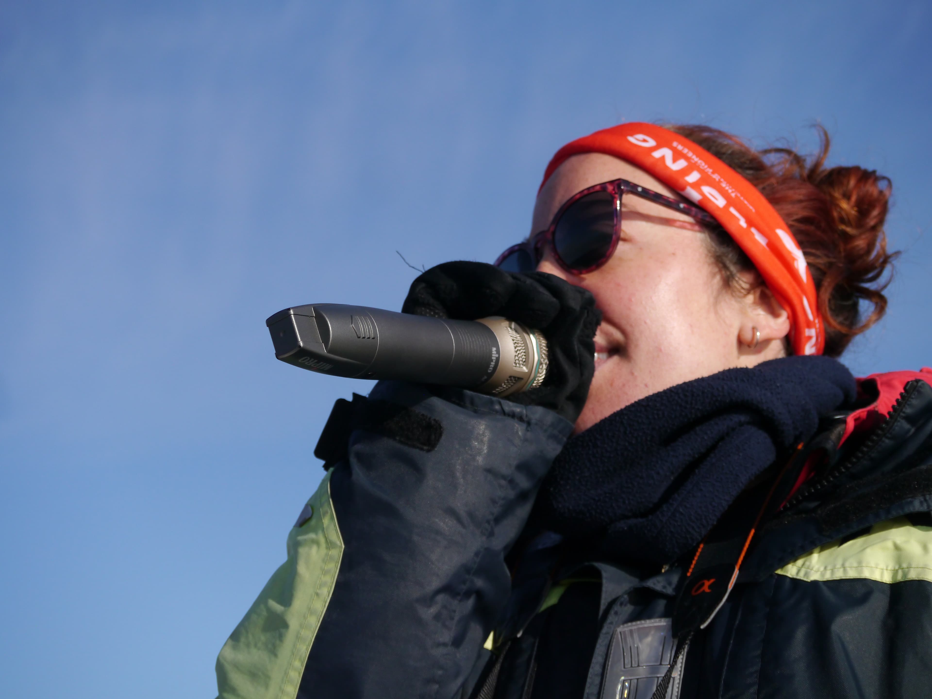 Reykjavík Classic Whale Watching  - photo 29