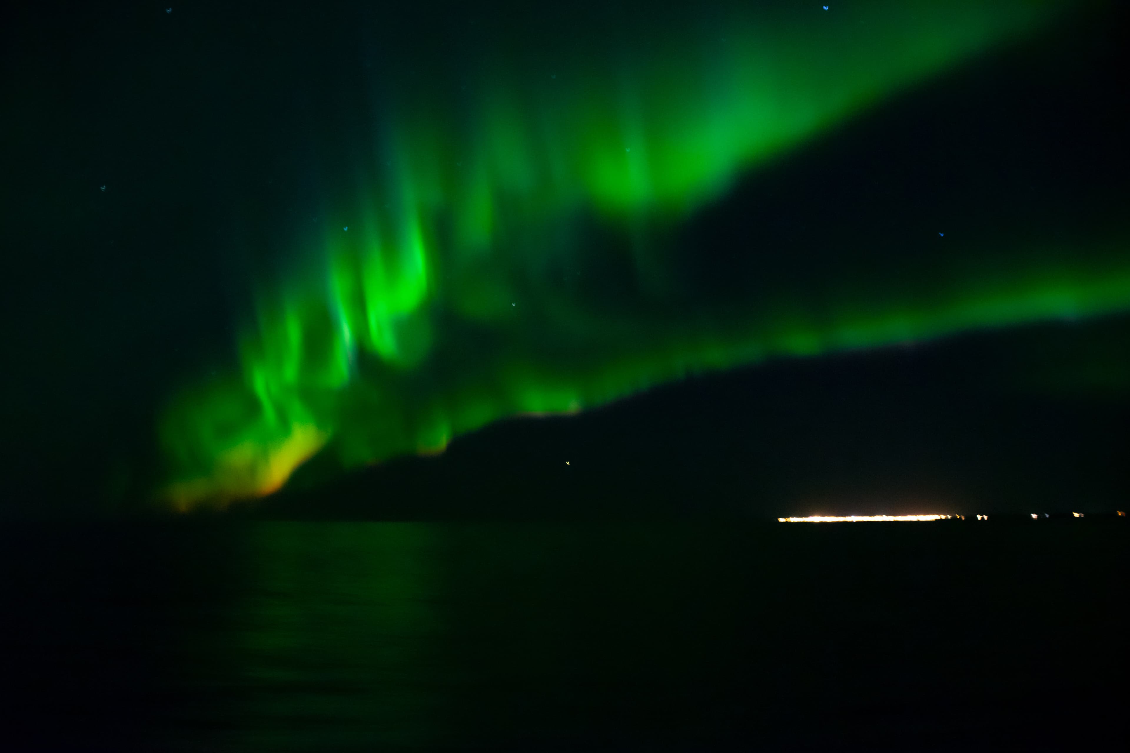 Whale Watching & Northern lights Combo Cruise from Reykjavik - photo 78