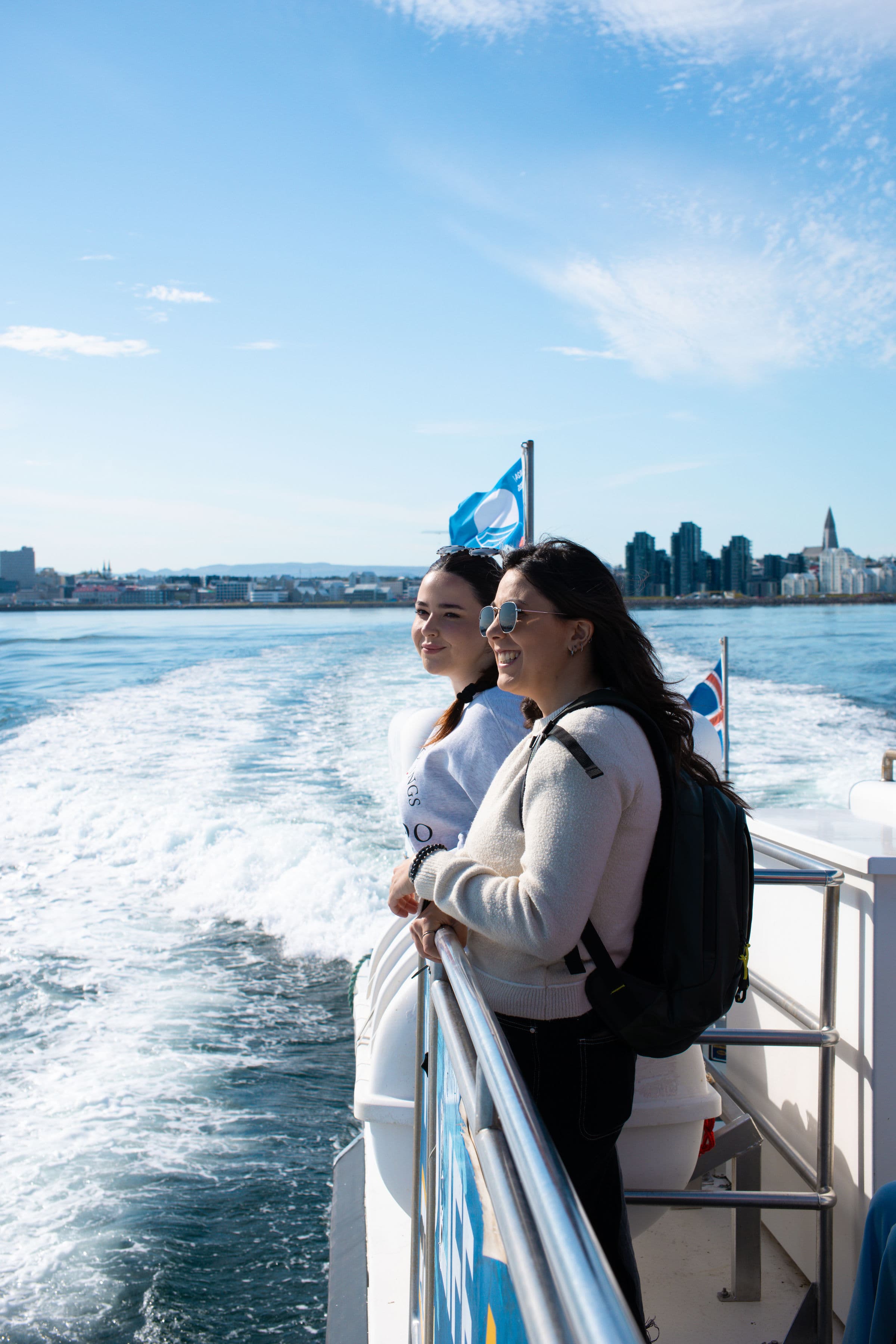 Whale Watching and Puffin Tour: Explore Iceland's Wildlife from Old Harbour in Downtown Reykjavik - photo 11