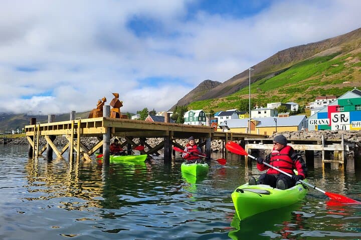 Private: Guided kayak tour in Siglufjörður / Siglufjordur. - photo 5
