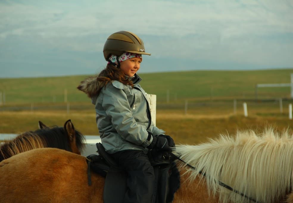 Pleasure in every hoof step - photo 5