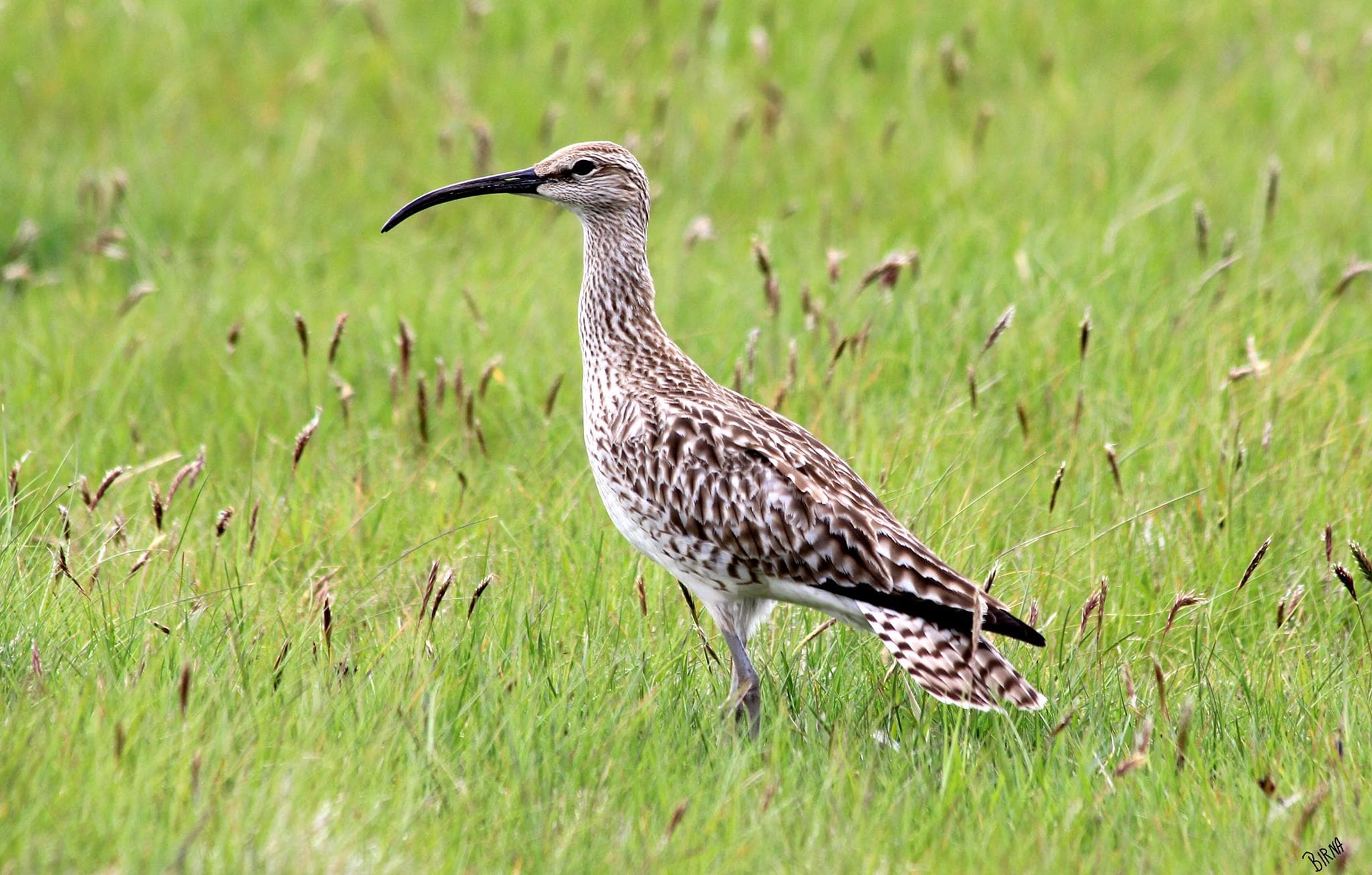 Custom Made Private Day Tour - photo 36