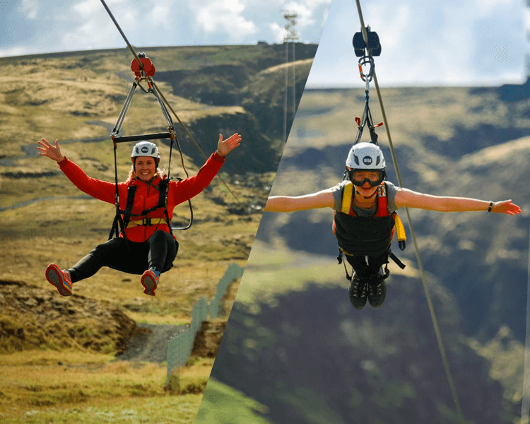 Double Thrill: Wings of the Bird, Flight of the Falcon