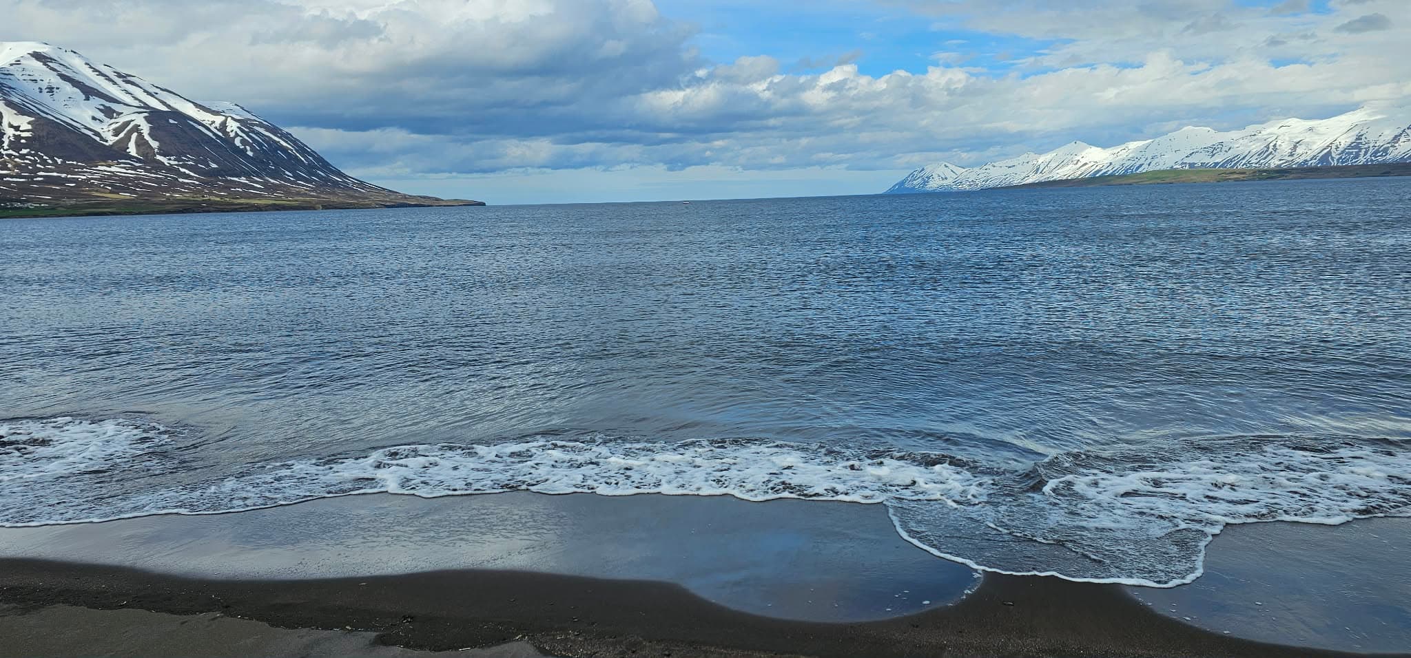 Whale watching, local taste and Micro Brewery - photo 10