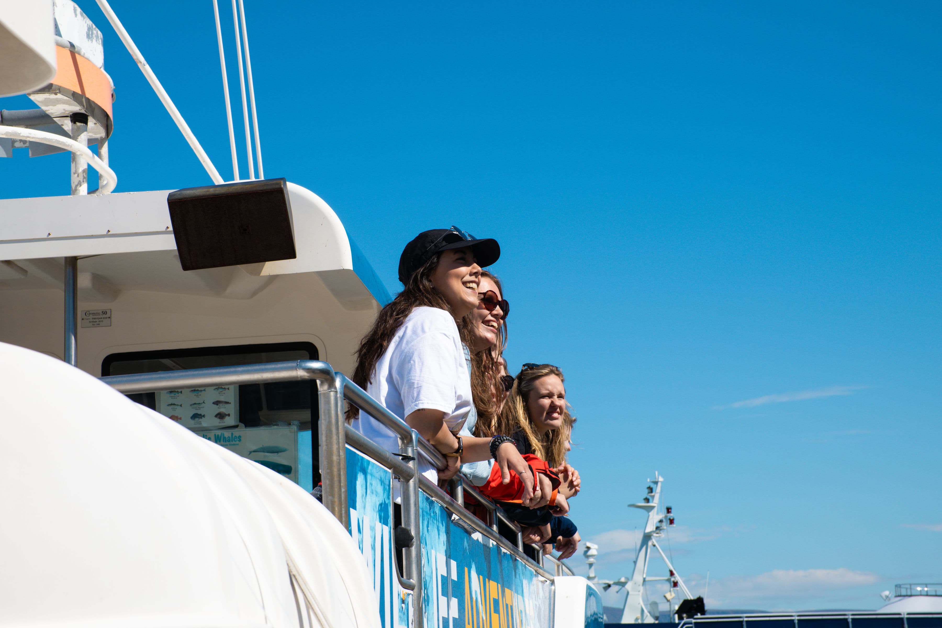 Best Value Whale Watching tour from Reykjavik - photo 13