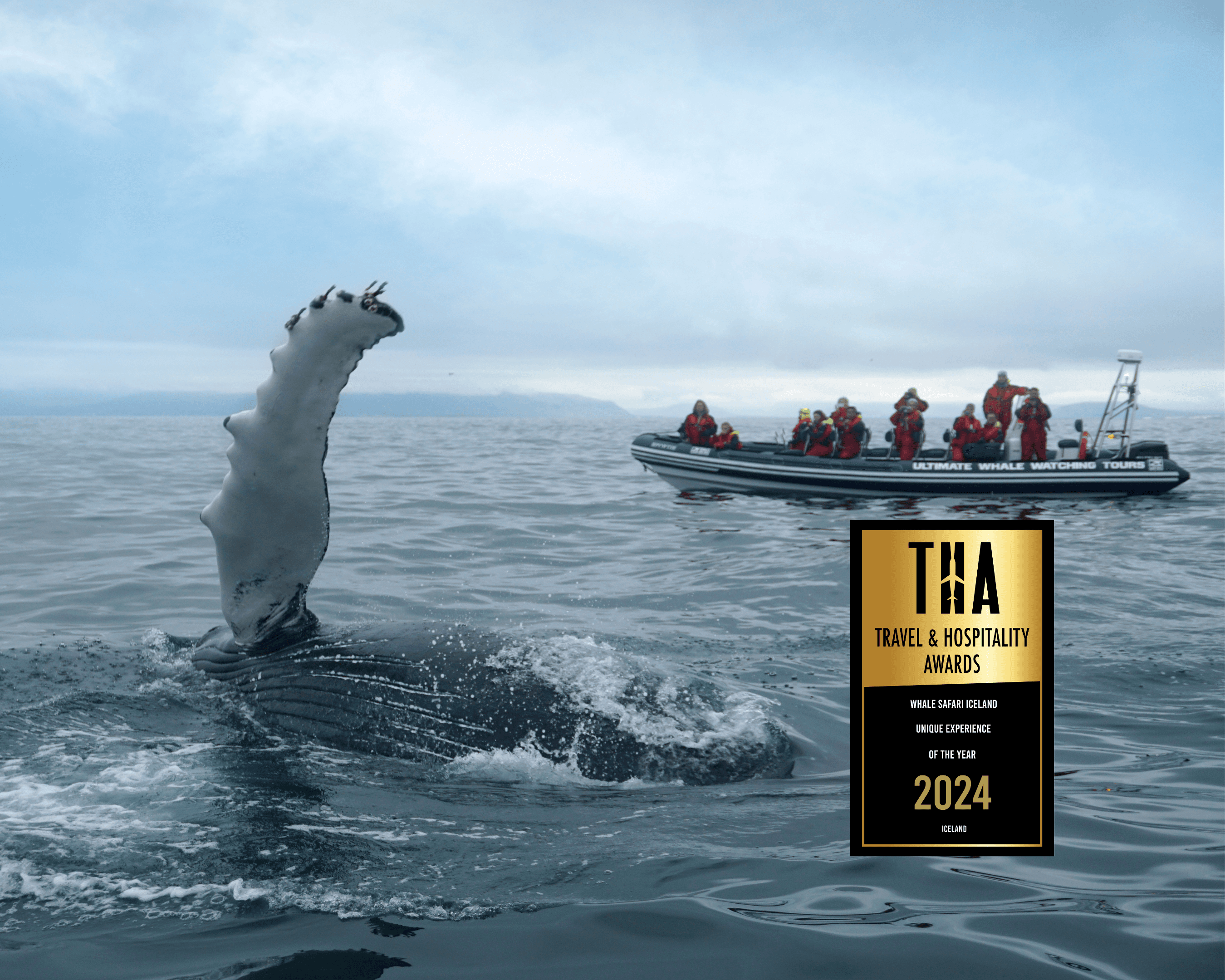 Whales, Puffins & Reykjavík