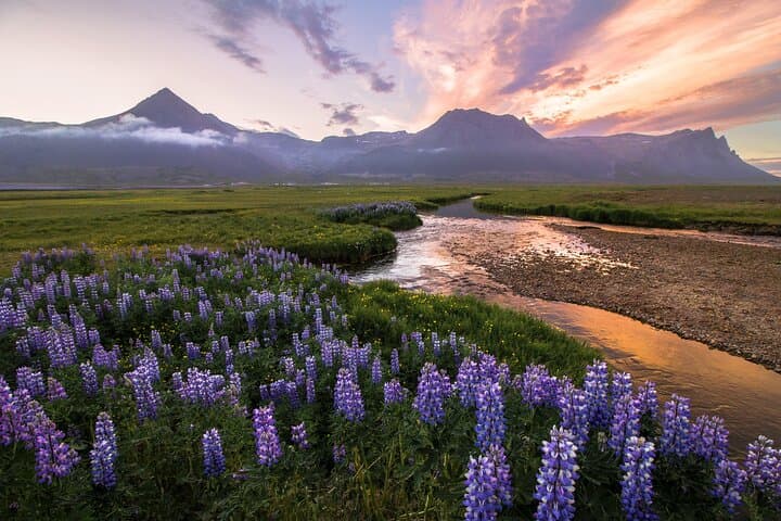 South Coast day tour in a small group - photo 4