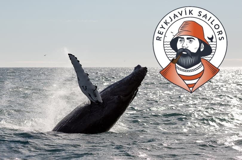 Whale Watching tour from Reykjavik - photo 2