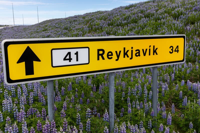 Keflavik Airport: Private Transfer to/from Reykjavik - Optional Blue Lagoon Stop - photo 9