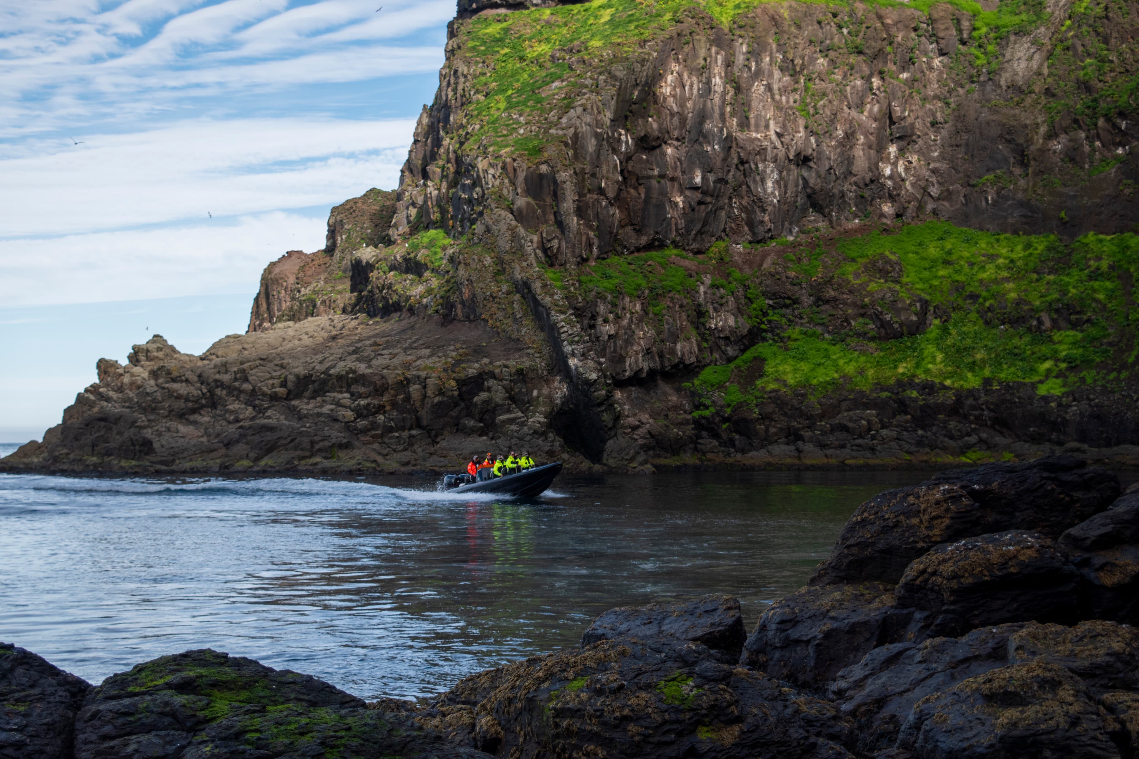 Puffin Quest - photo 17