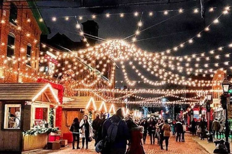 The Reykjavik Christmas Food Tour - photo 14