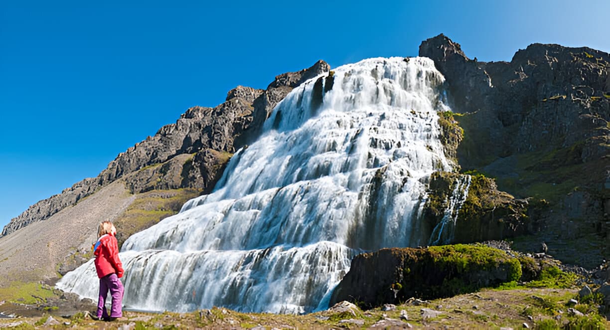 Private Dynjandi Waterfall & Farm Tour: Pickup from Isafjordur - photo 3