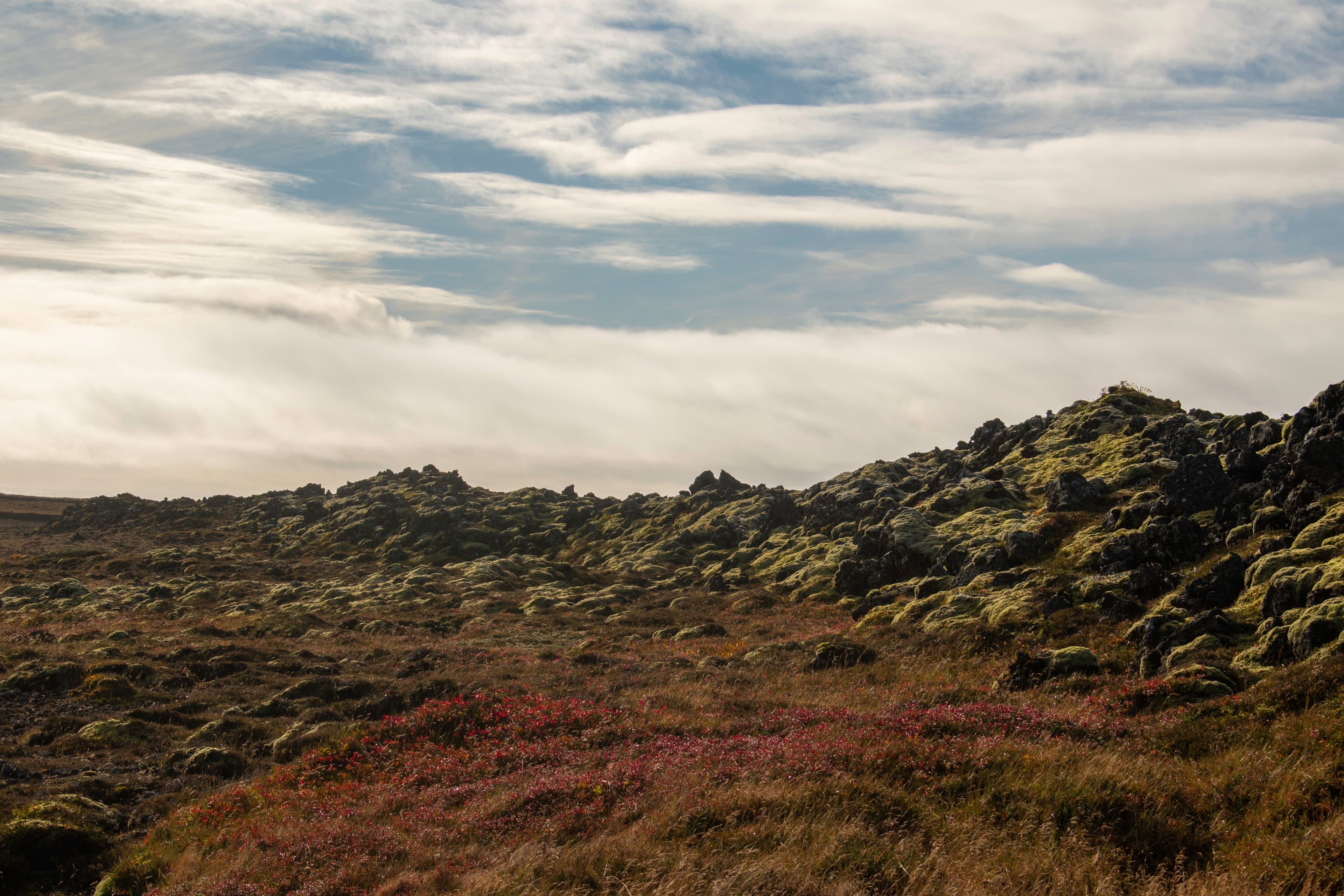 Private SuperJeep tour: Colours of Reykjanes - photo 4