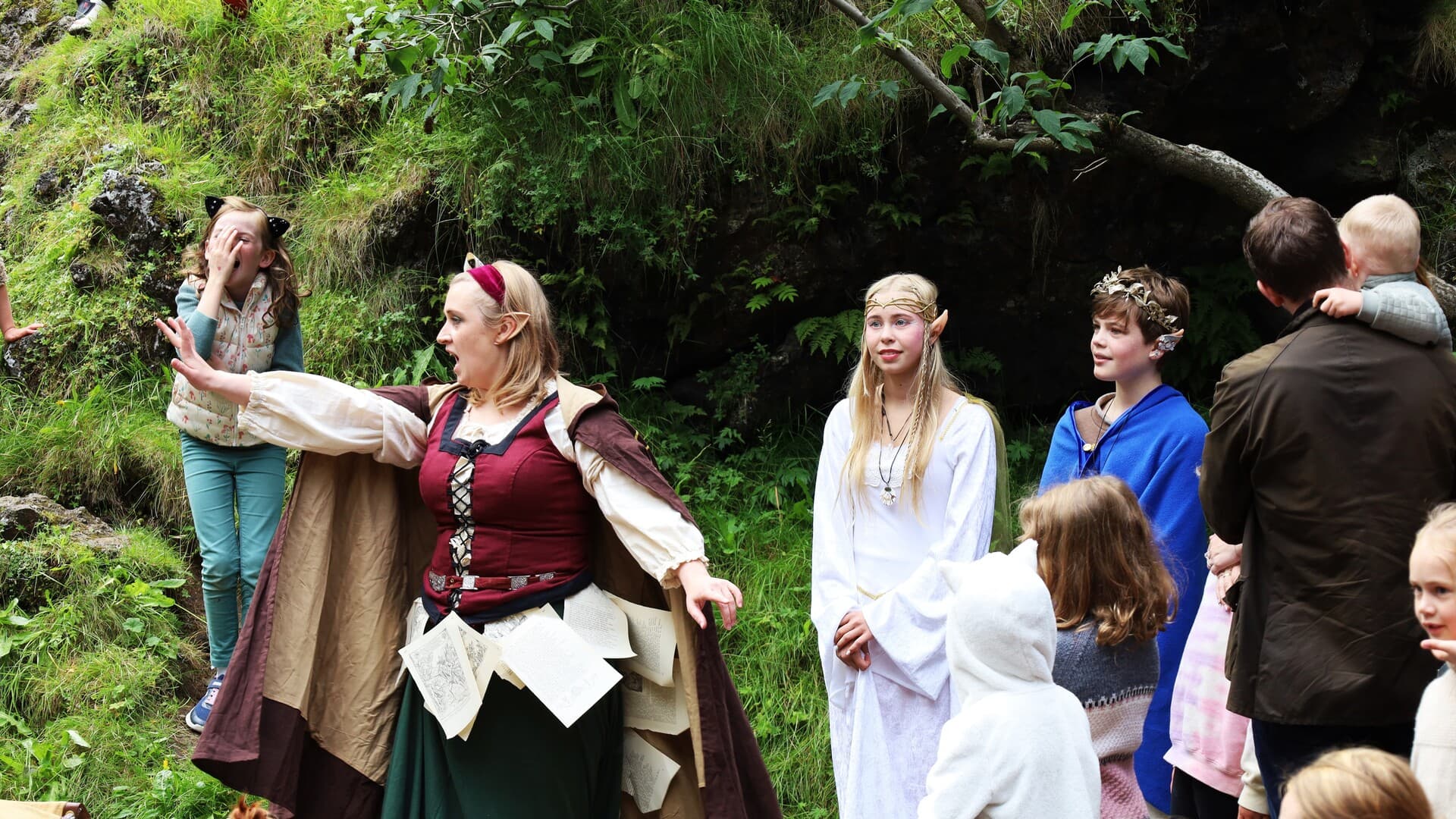 Elves & Nature Reykjavik Driving Tour