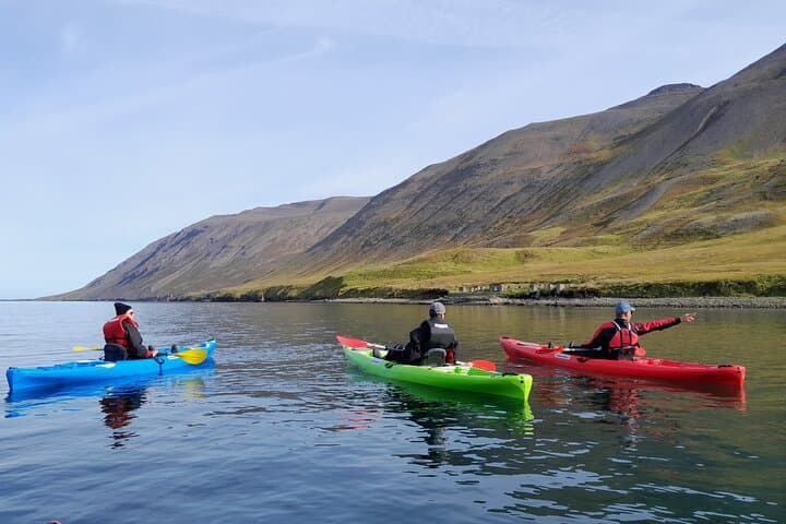 Guided kayak tour in Siglufjörður / Siglufjordur. - photo 8