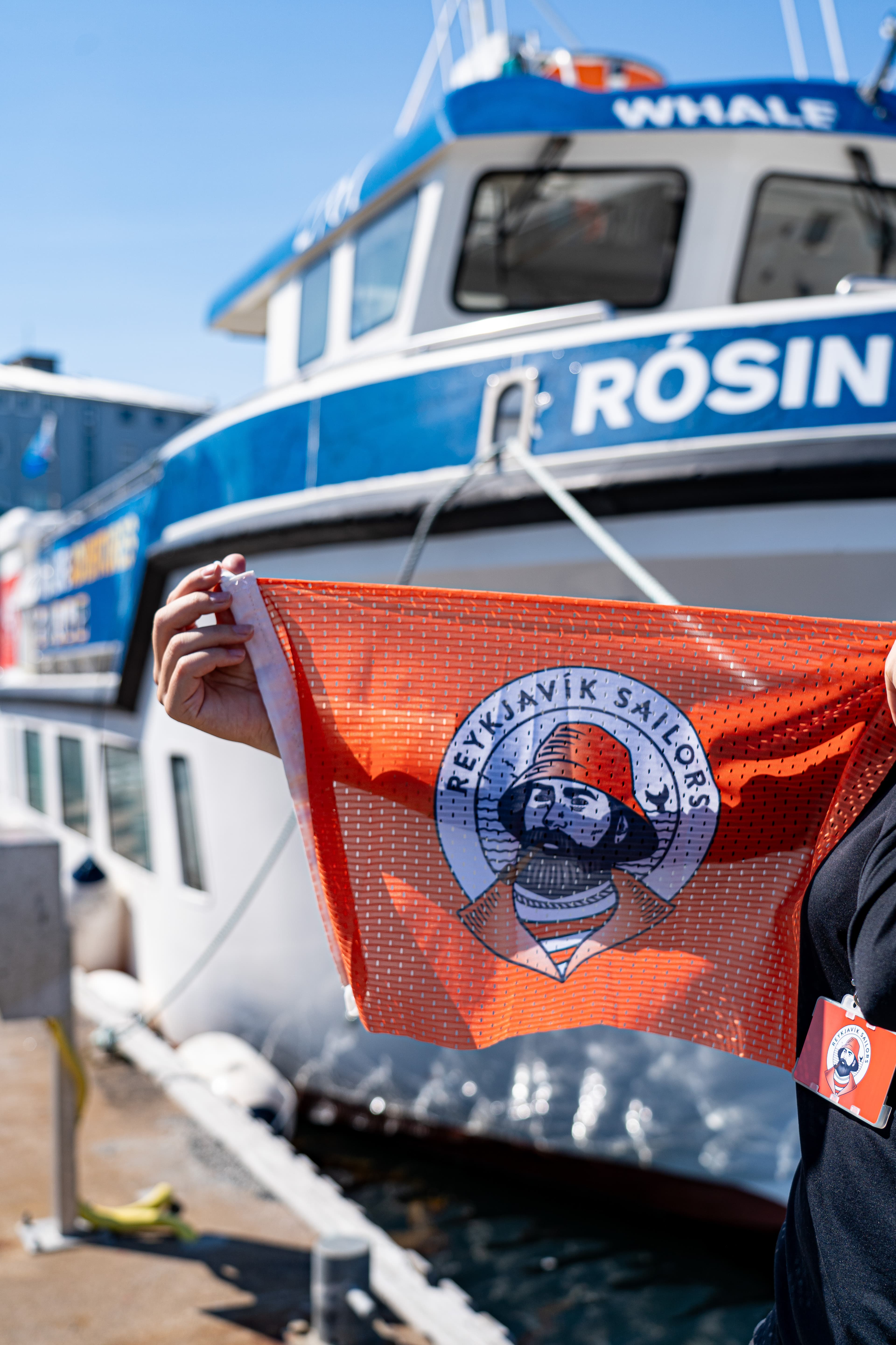 Whale Watching Excursion from Reykjavik & Whales of Iceland Exhibition: Explore the Sea's Giants - photo 4