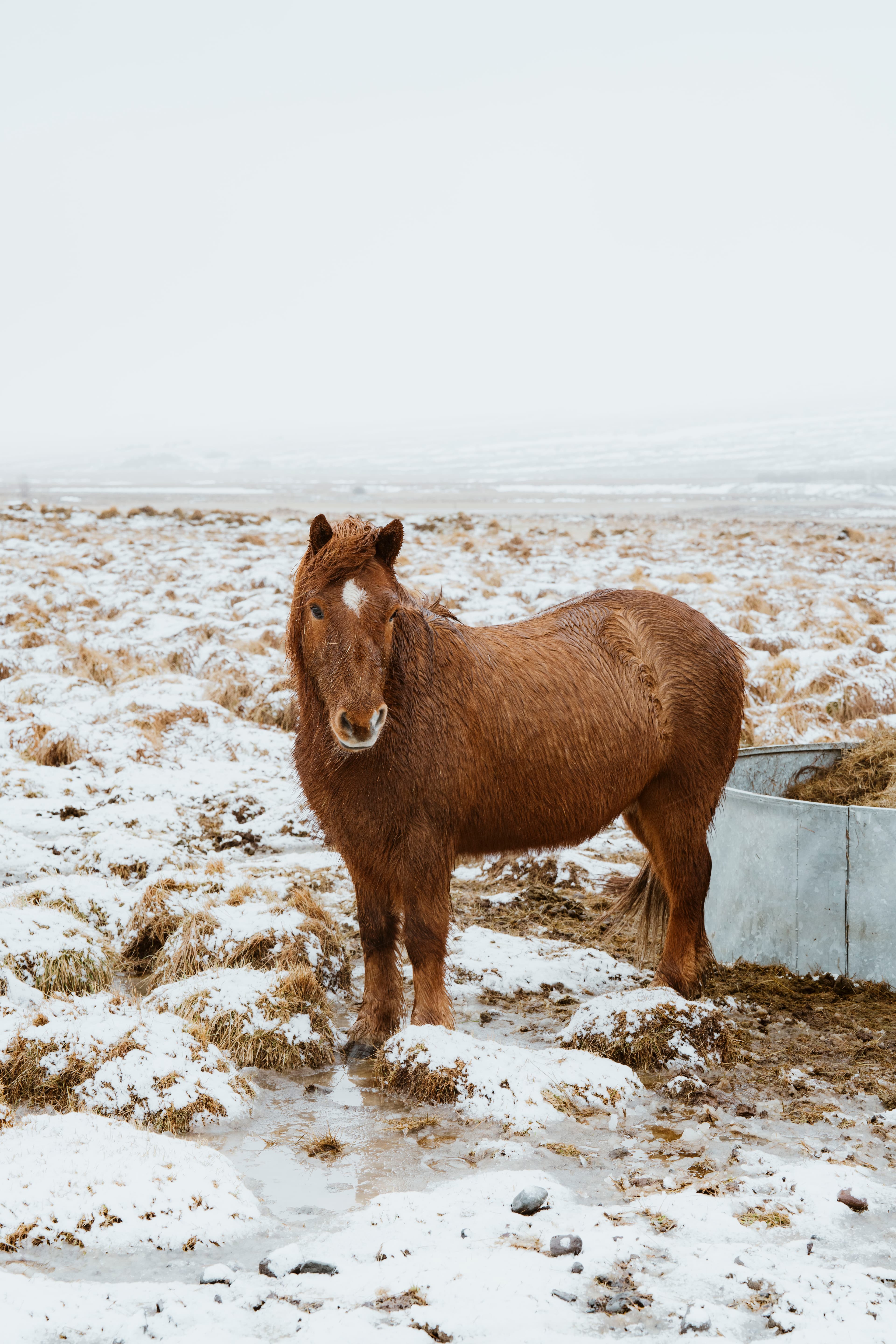 Into the Glacier & Silver Circle - photo 2