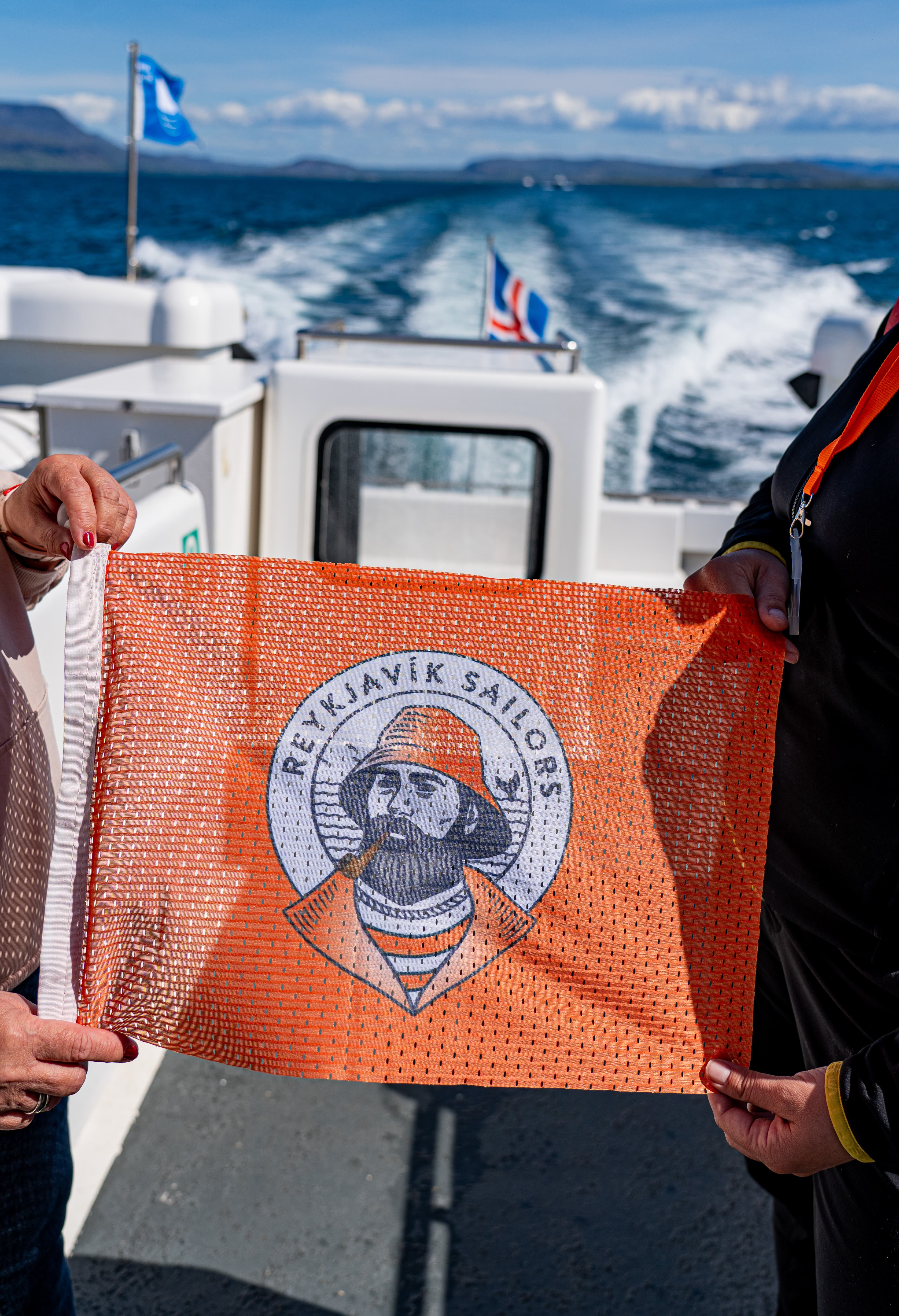 Whale Watching Excursion from Reykjavik & Whales of Iceland Exhibition: Explore the Sea's Giants - photo 11