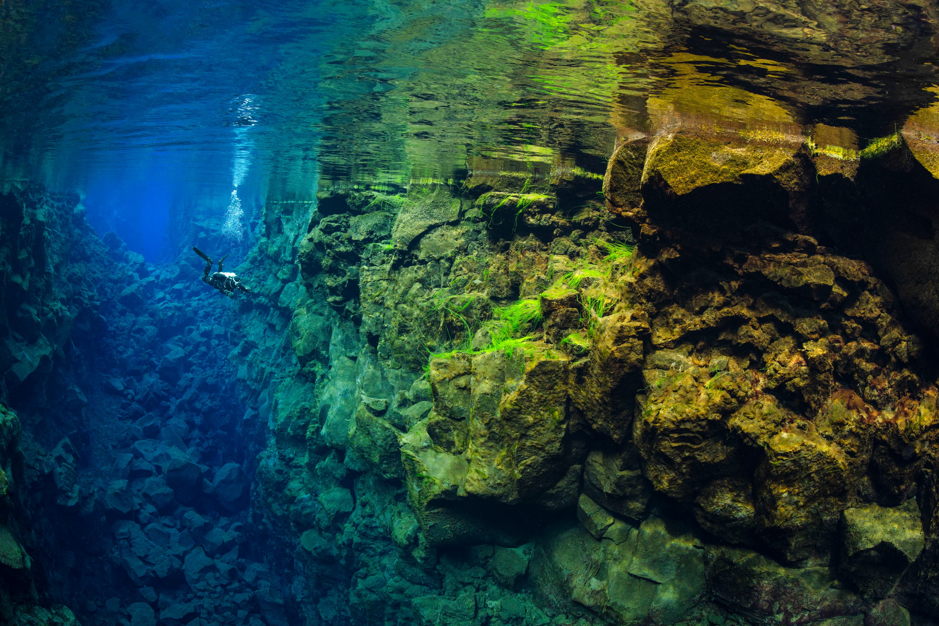 Deep Into the Blue - Silfra Diving from Reykjavík - photo 18
