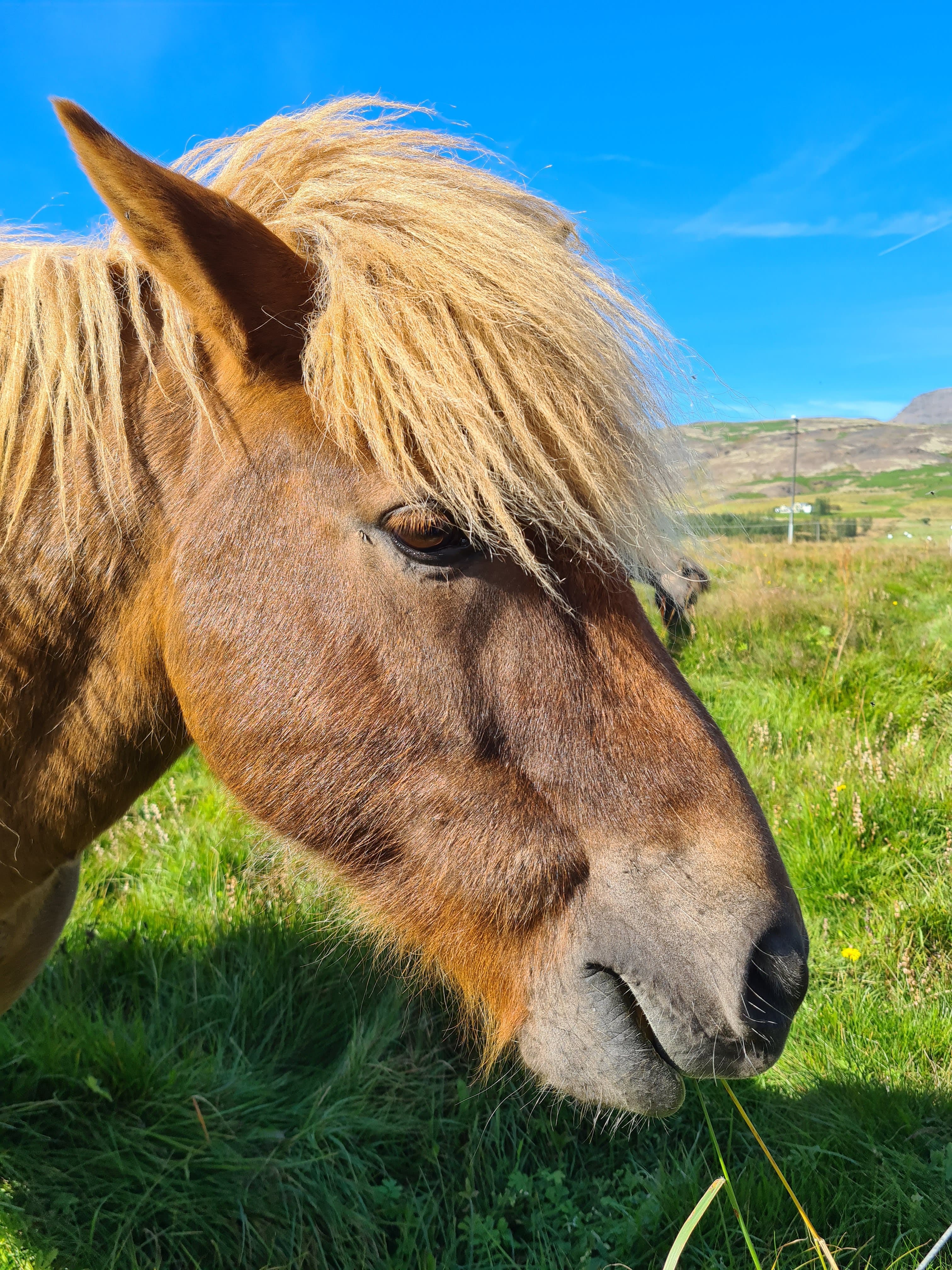 Family Volcano Discovery – Private Reykjanes Peninsula & Sky Lagoon Experience - photo 7