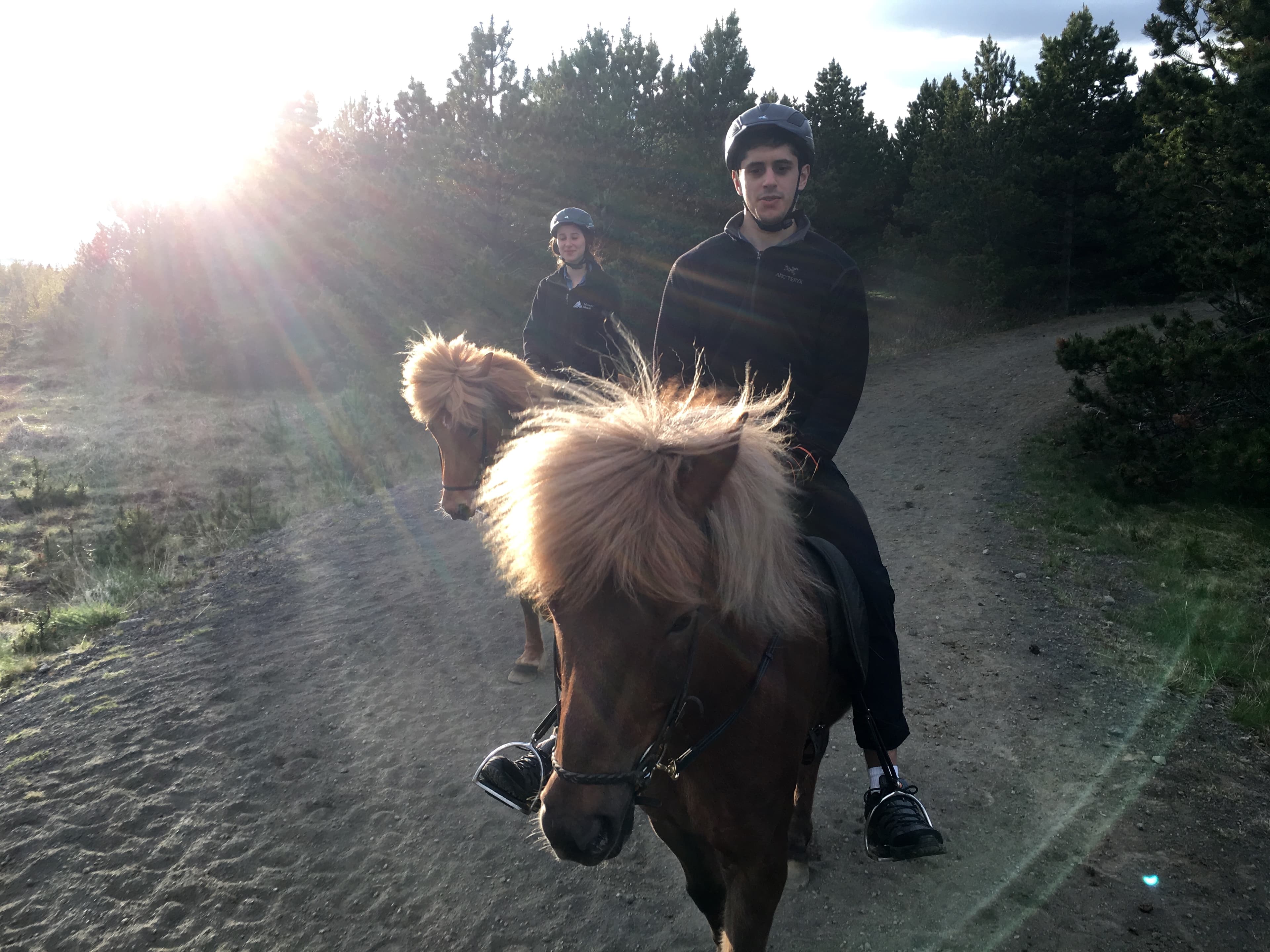 Viking Horses Sleipnir Evening Tour - photo 5