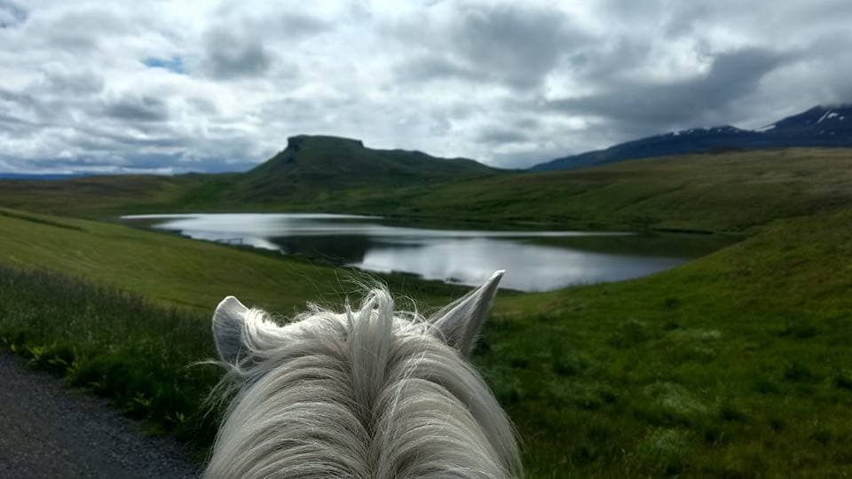 River Delta - photo 15