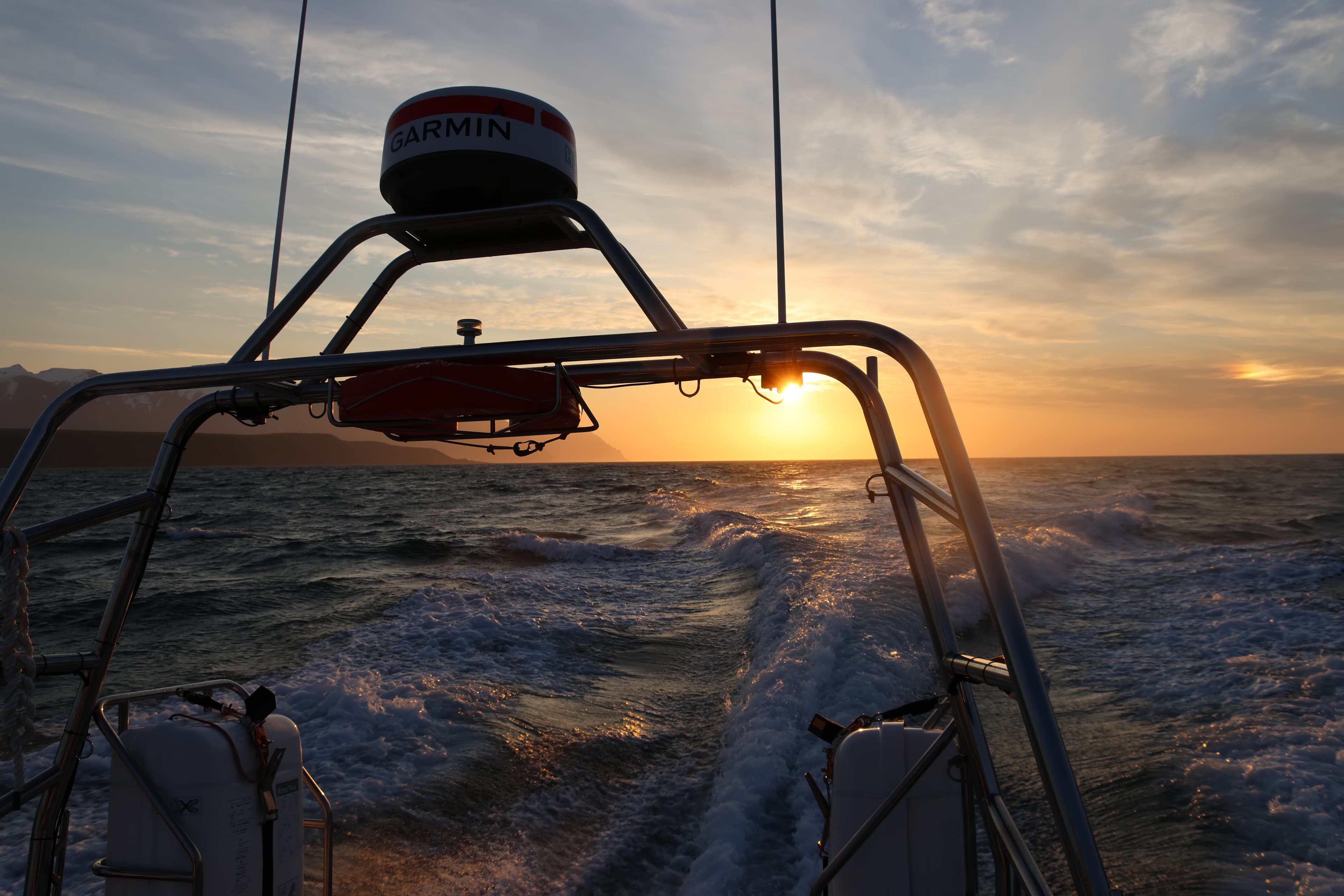 Akureyri Express Whales in the Midnight Sun - photo 9
