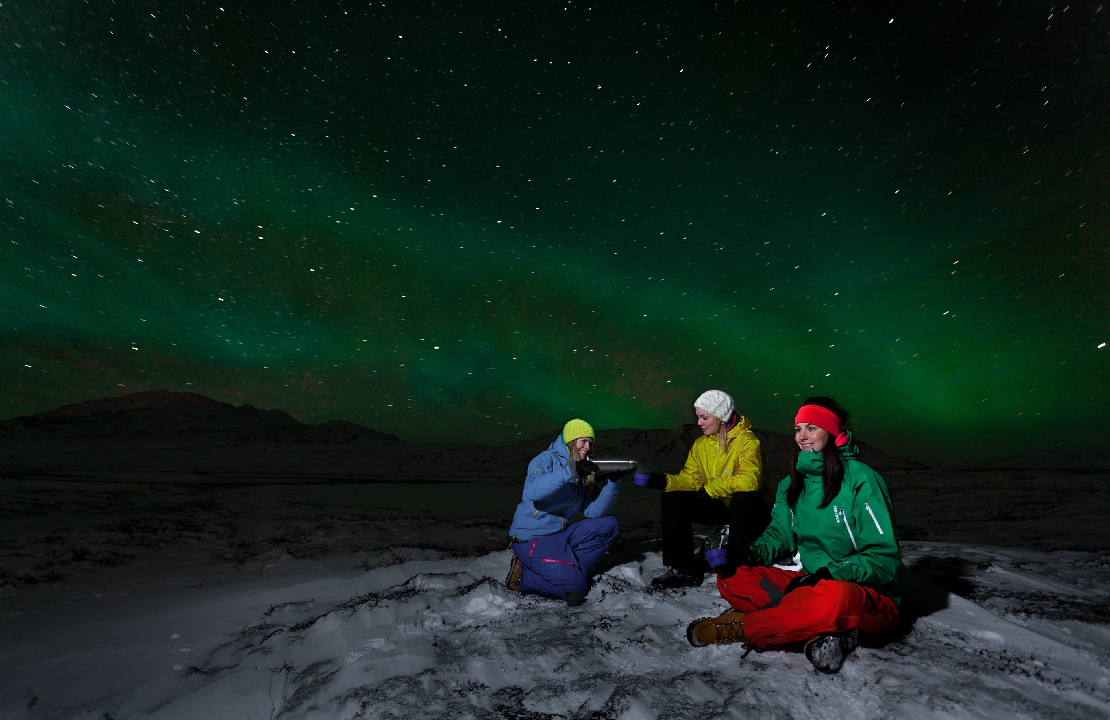 Whale Watching and Northern Lights from Reykjavík - photo 3
