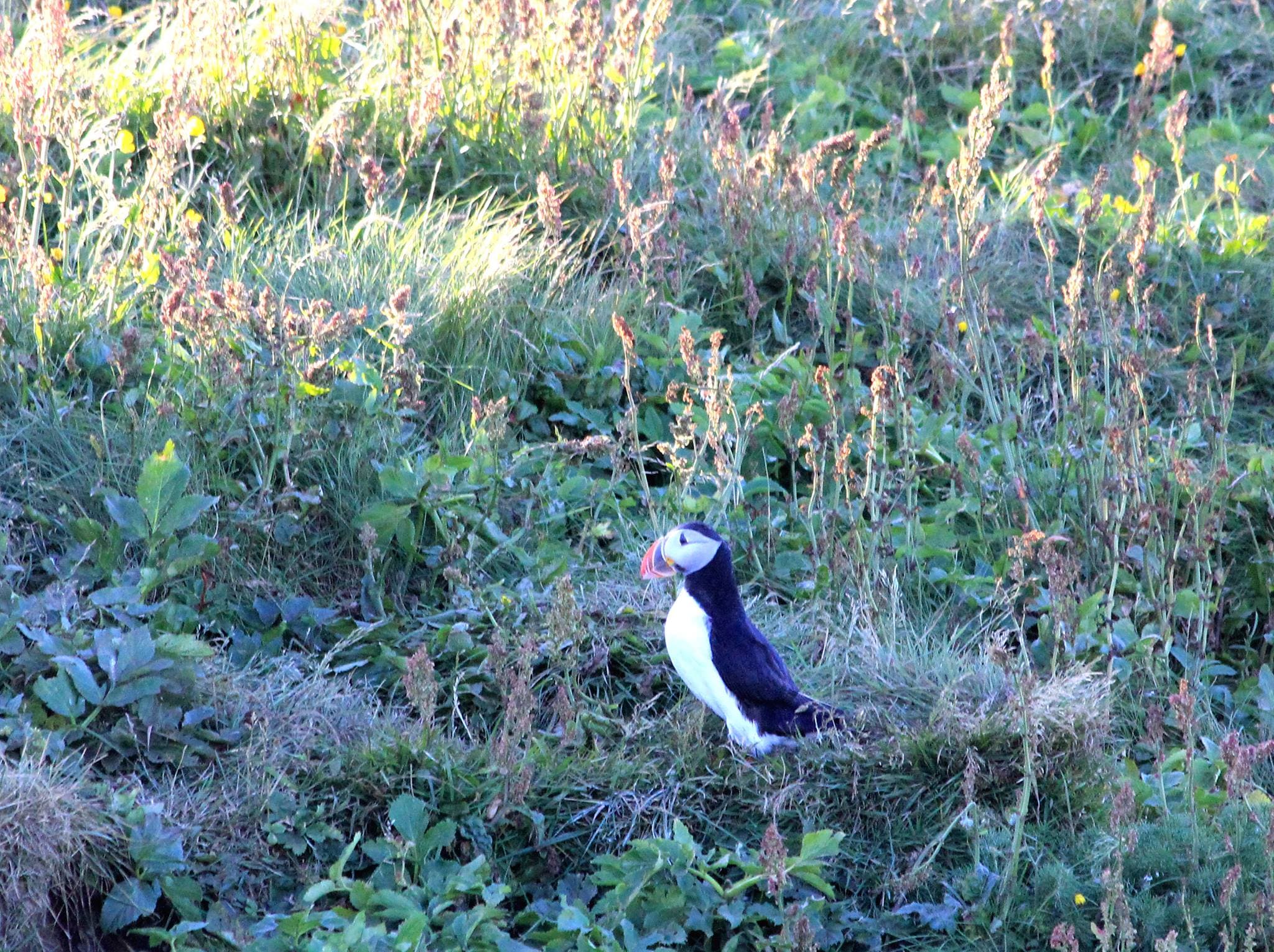 Custom Made Private Day Tour - photo 40