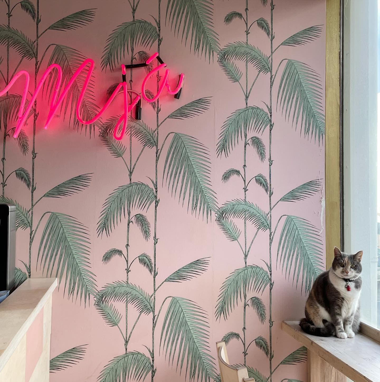 Private Combo Reykjavik Folklore & CatWalk - photo 11