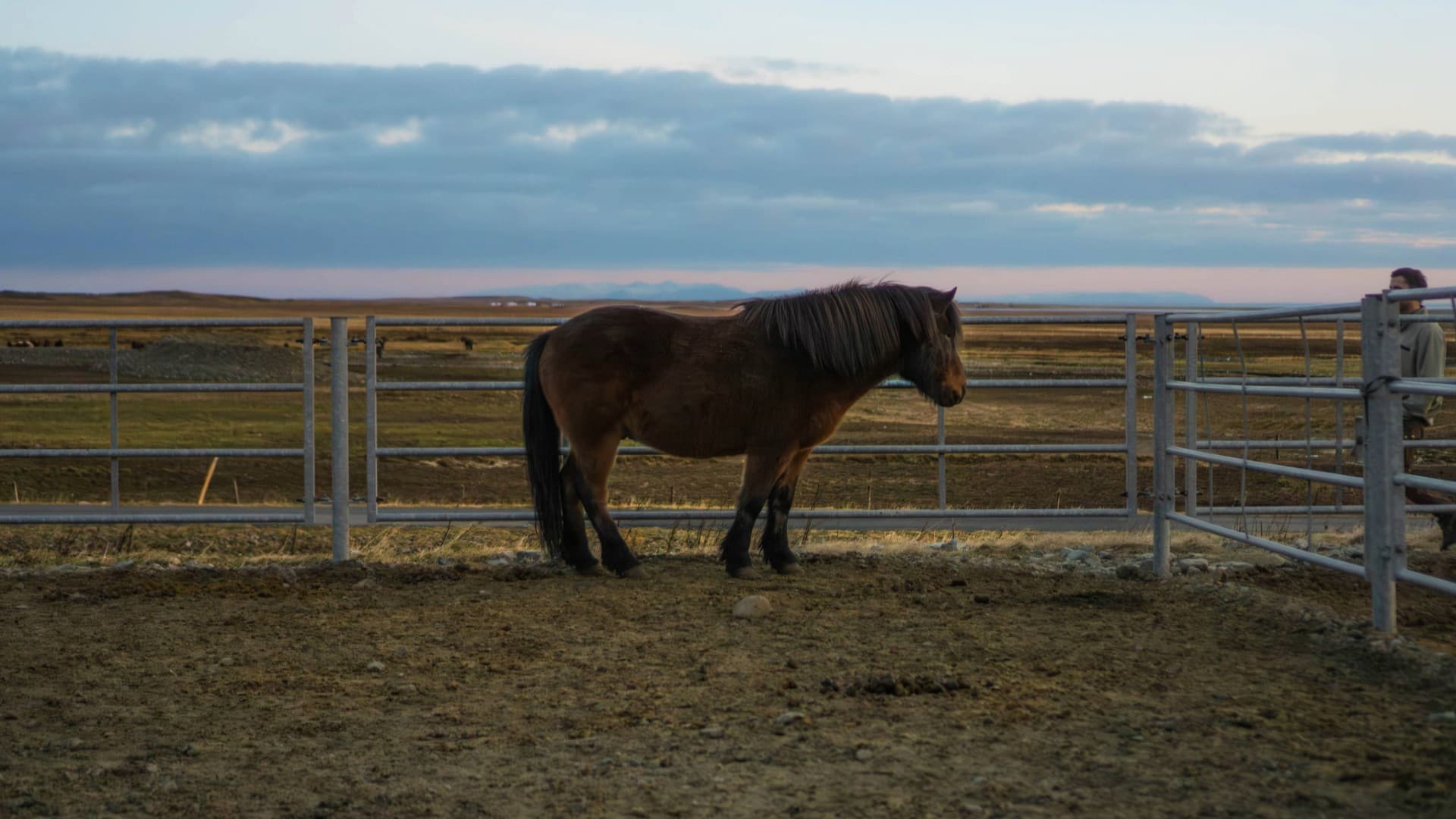 Private Bespoke Snæfellsnes Peninsula Tour - photo 16