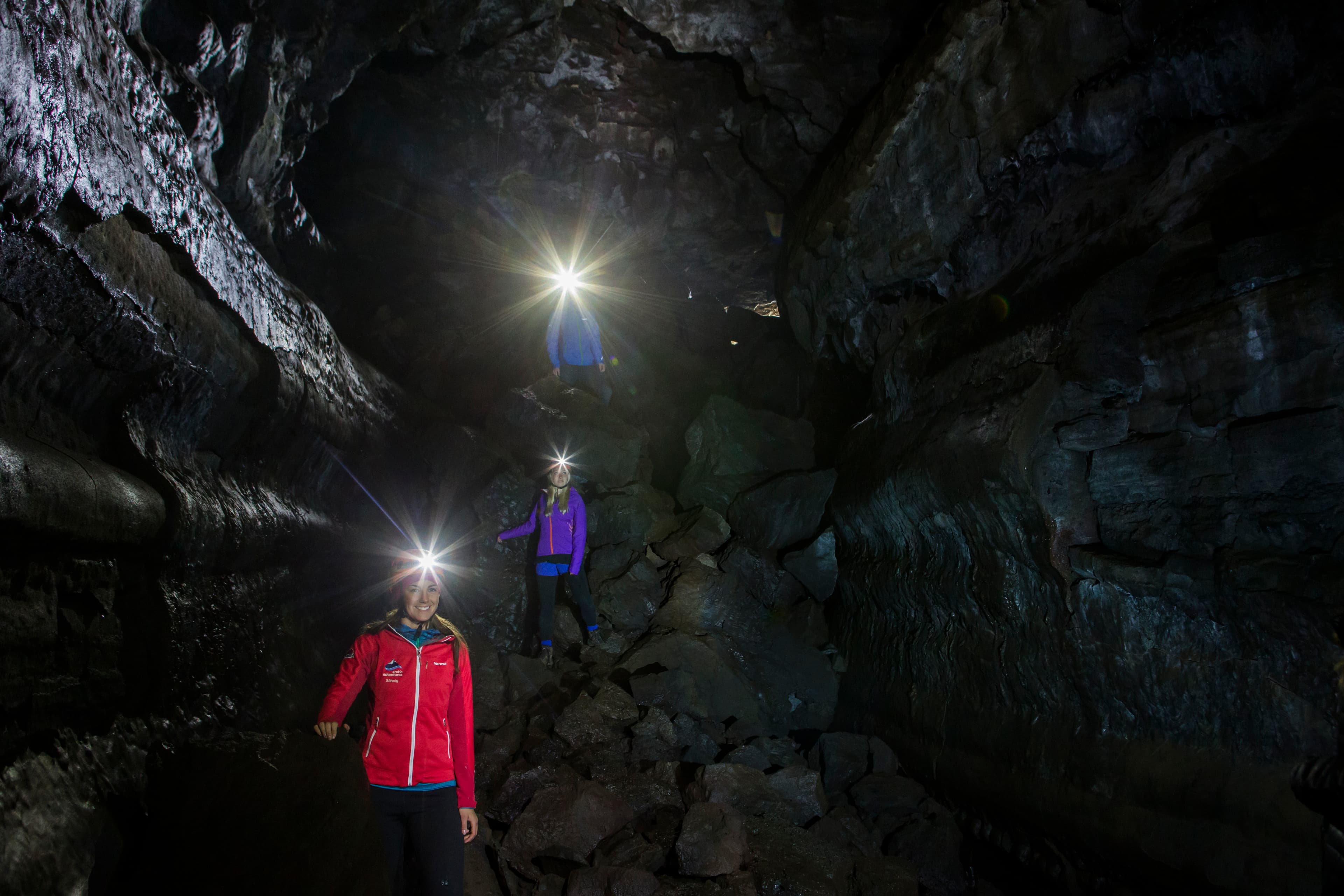 Whale Watching & Caving - photo 3