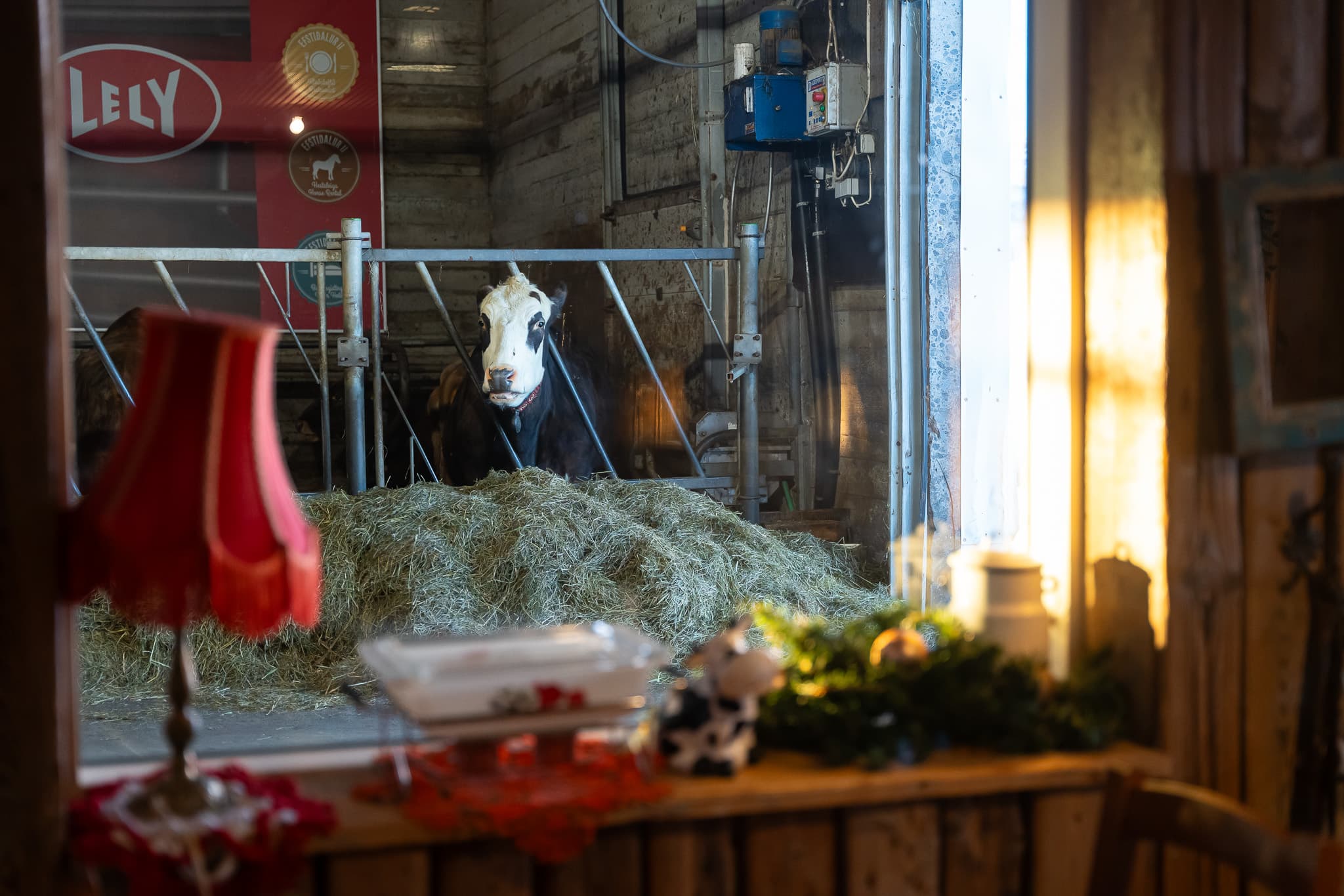 Private Gourmet Golden Circle Tour - photo 20