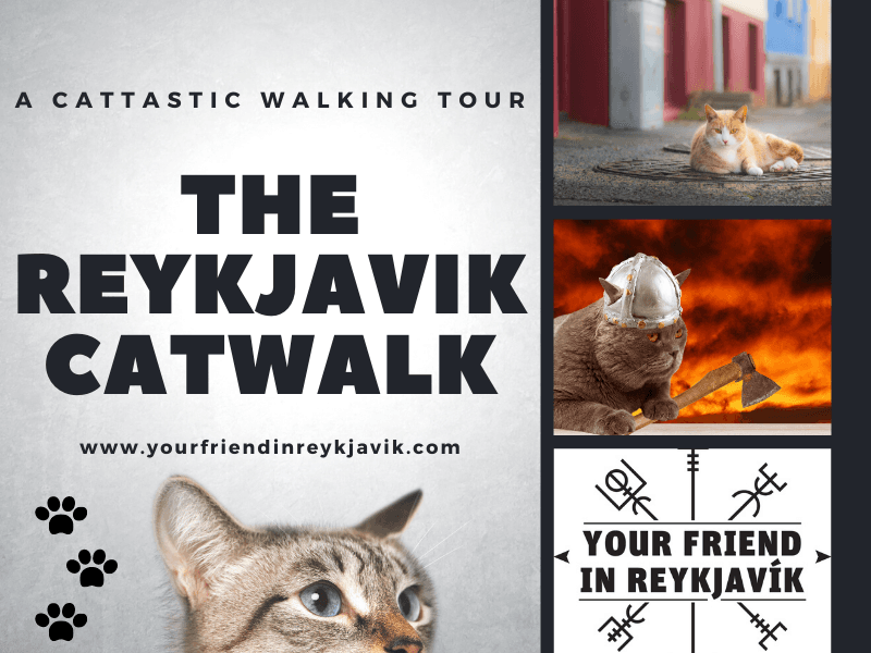 The Reykjavik CatWalk - photo 14