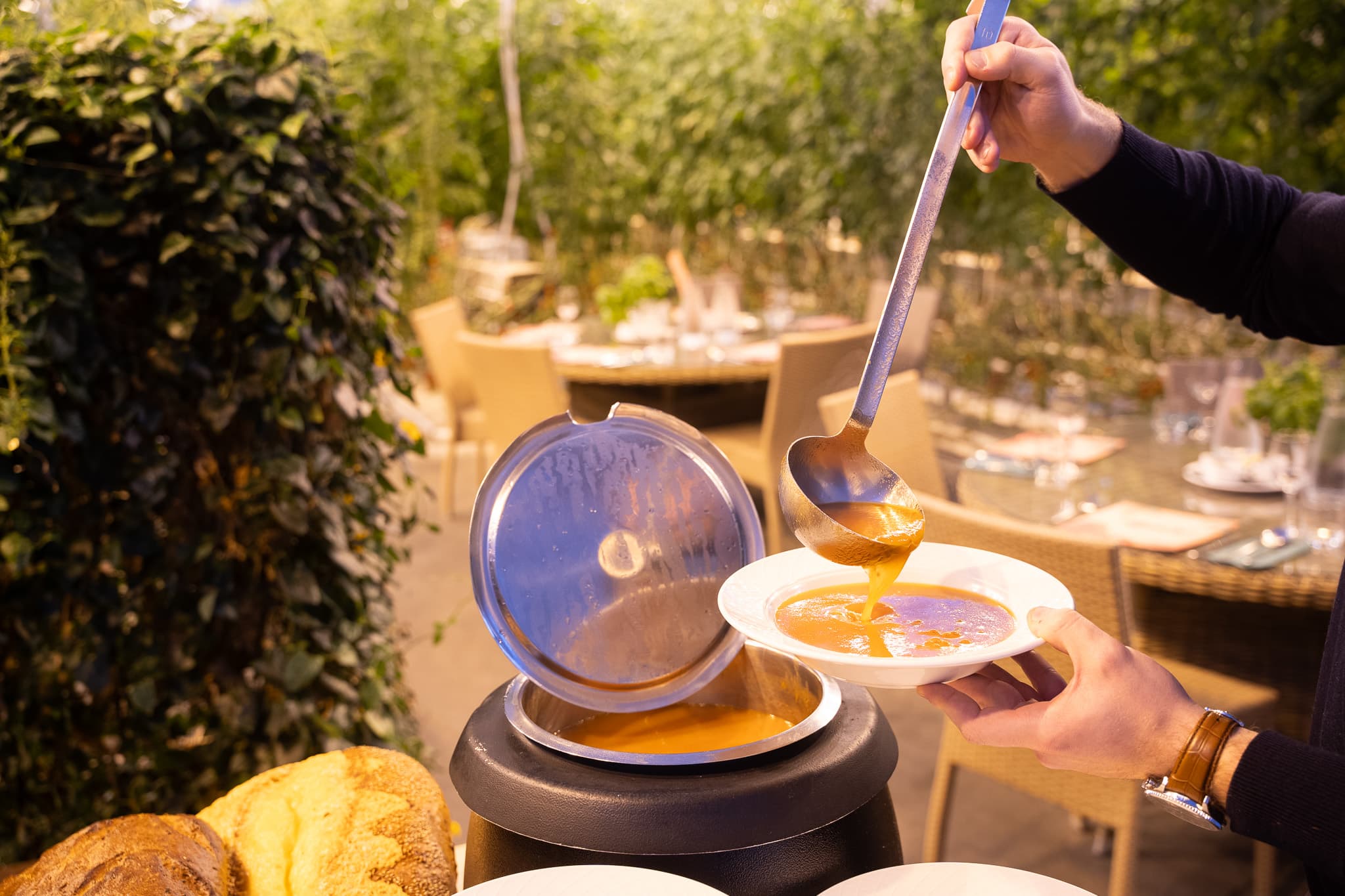 Private Gourmet Golden Circle Tour - photo 3