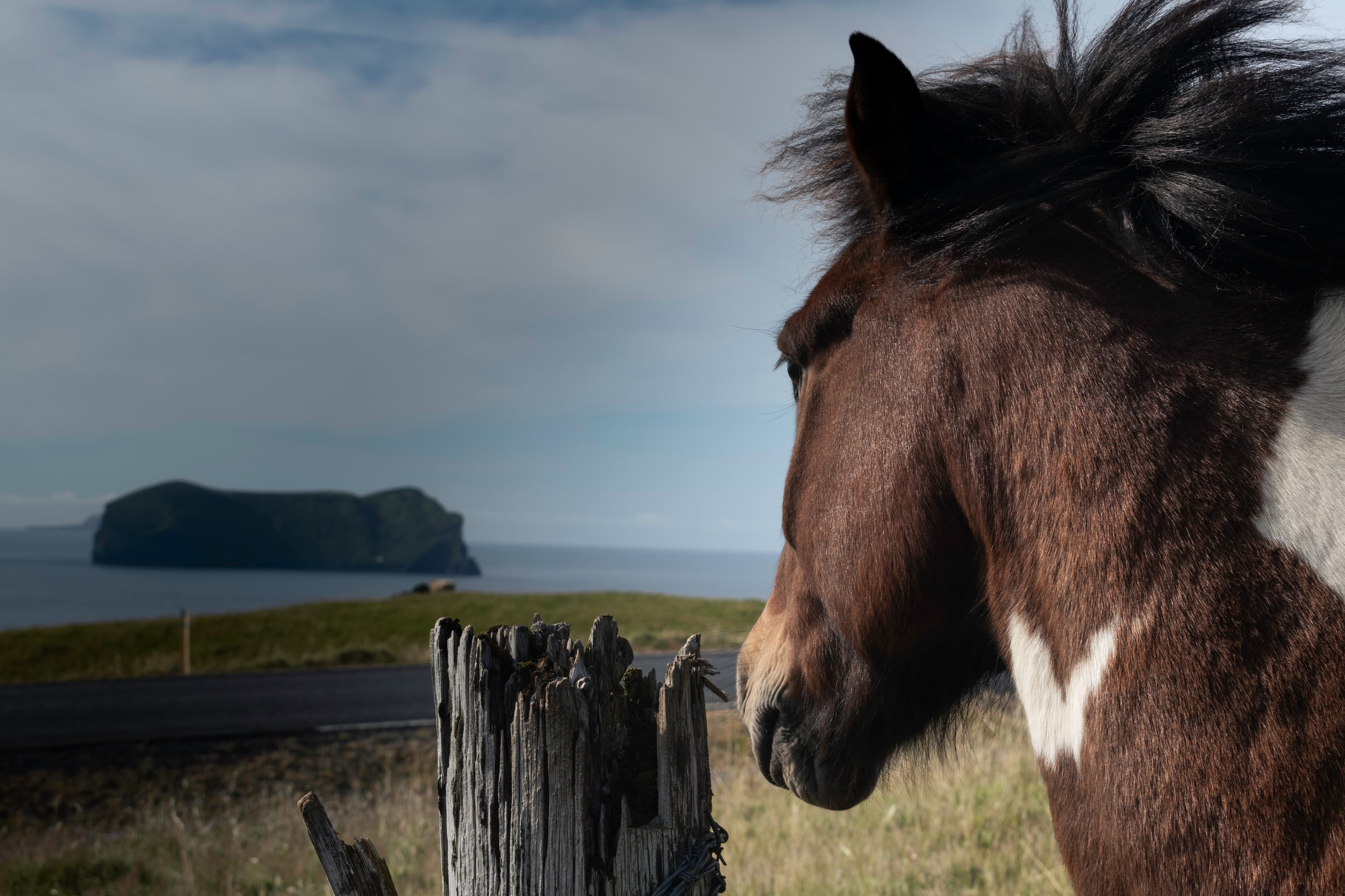 Private SuperJeep tour to the Westman Islands: History and Natural Wonders - photo 4