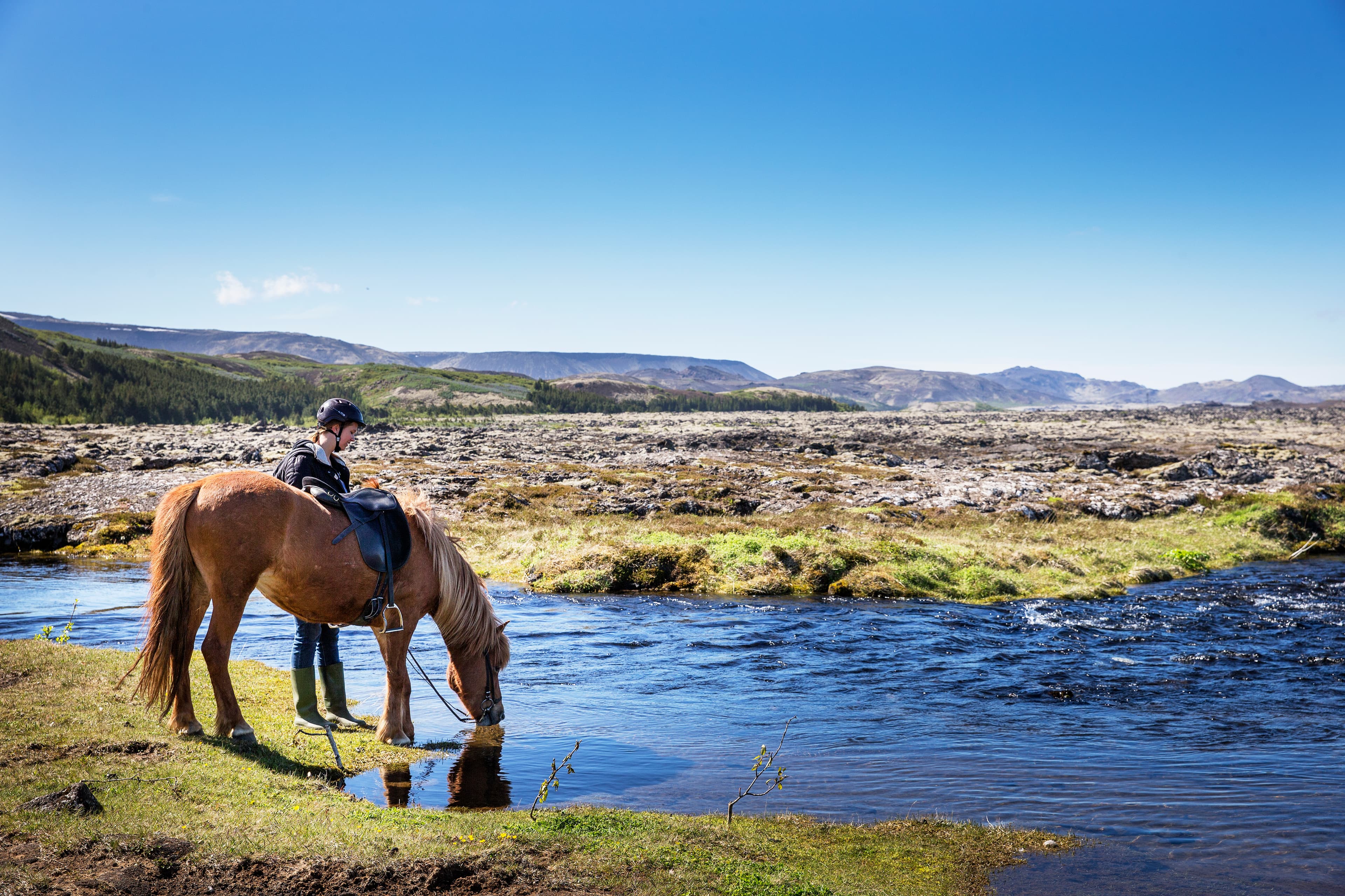 Lava Tour - Horseback Riding through the Lava Fields