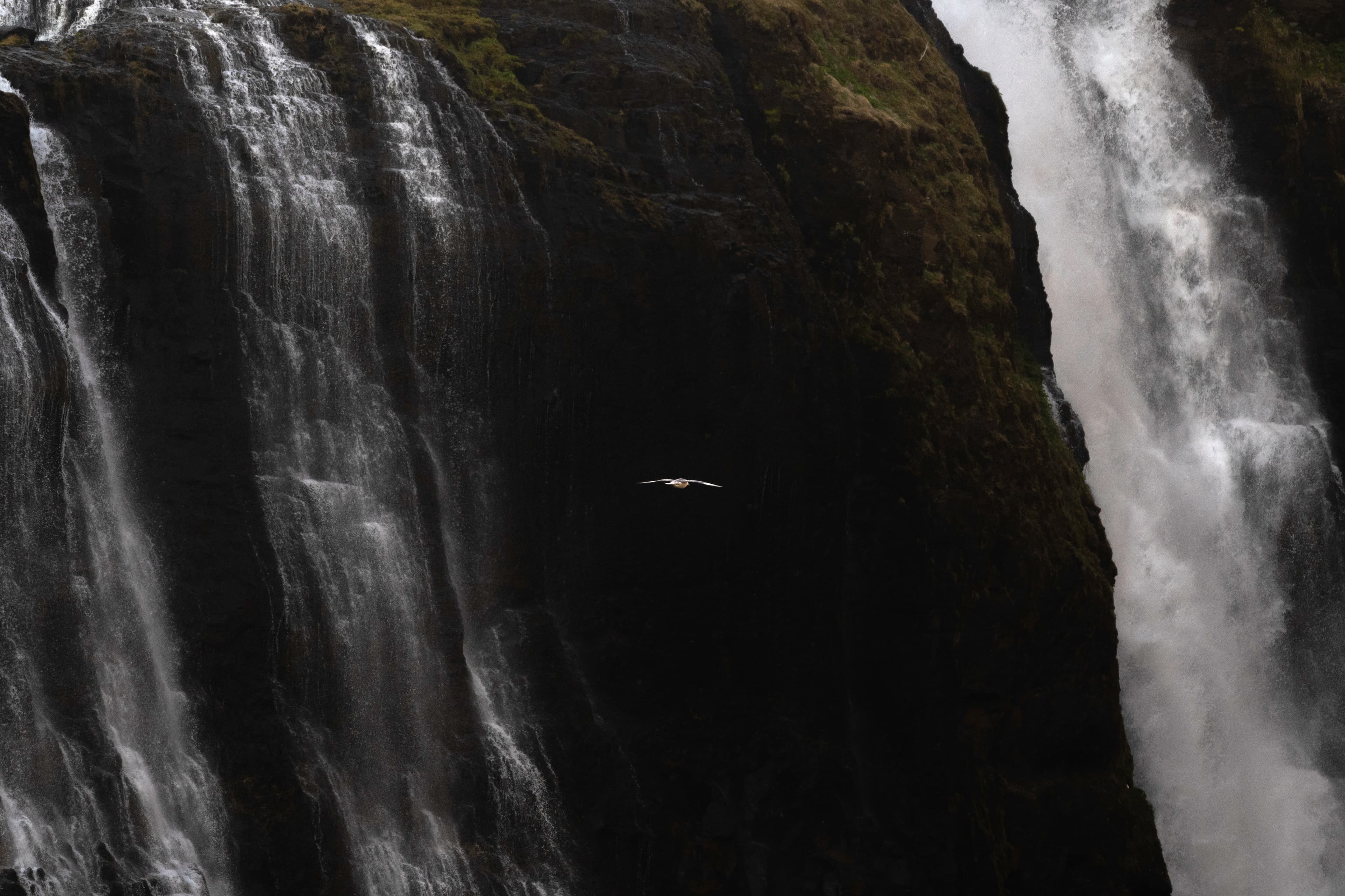 Private Hiking Tour to Glymur Waterfall: Minivan Transfer - photo 5