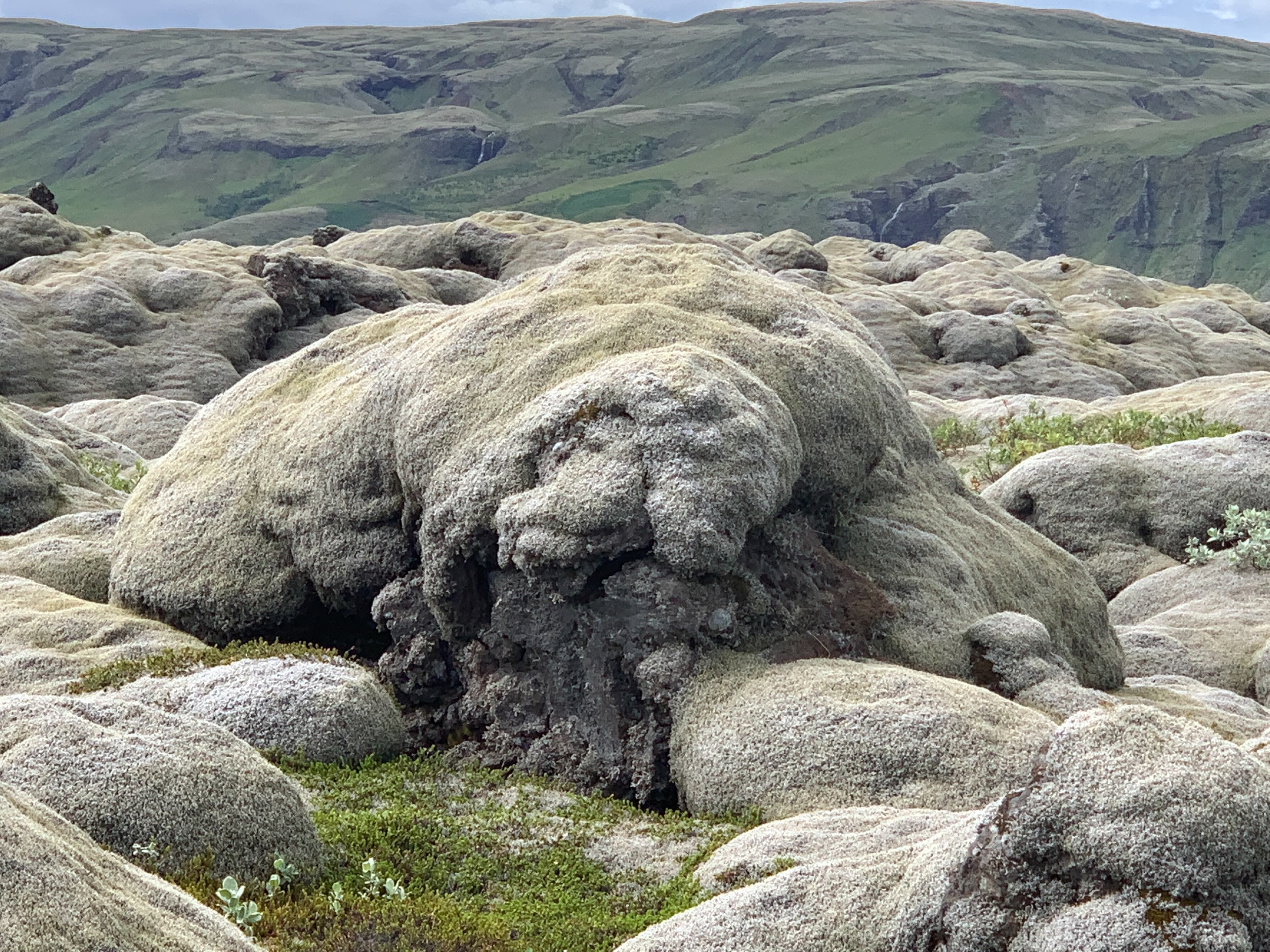 Private Super Jeep with driver guide - photo 25