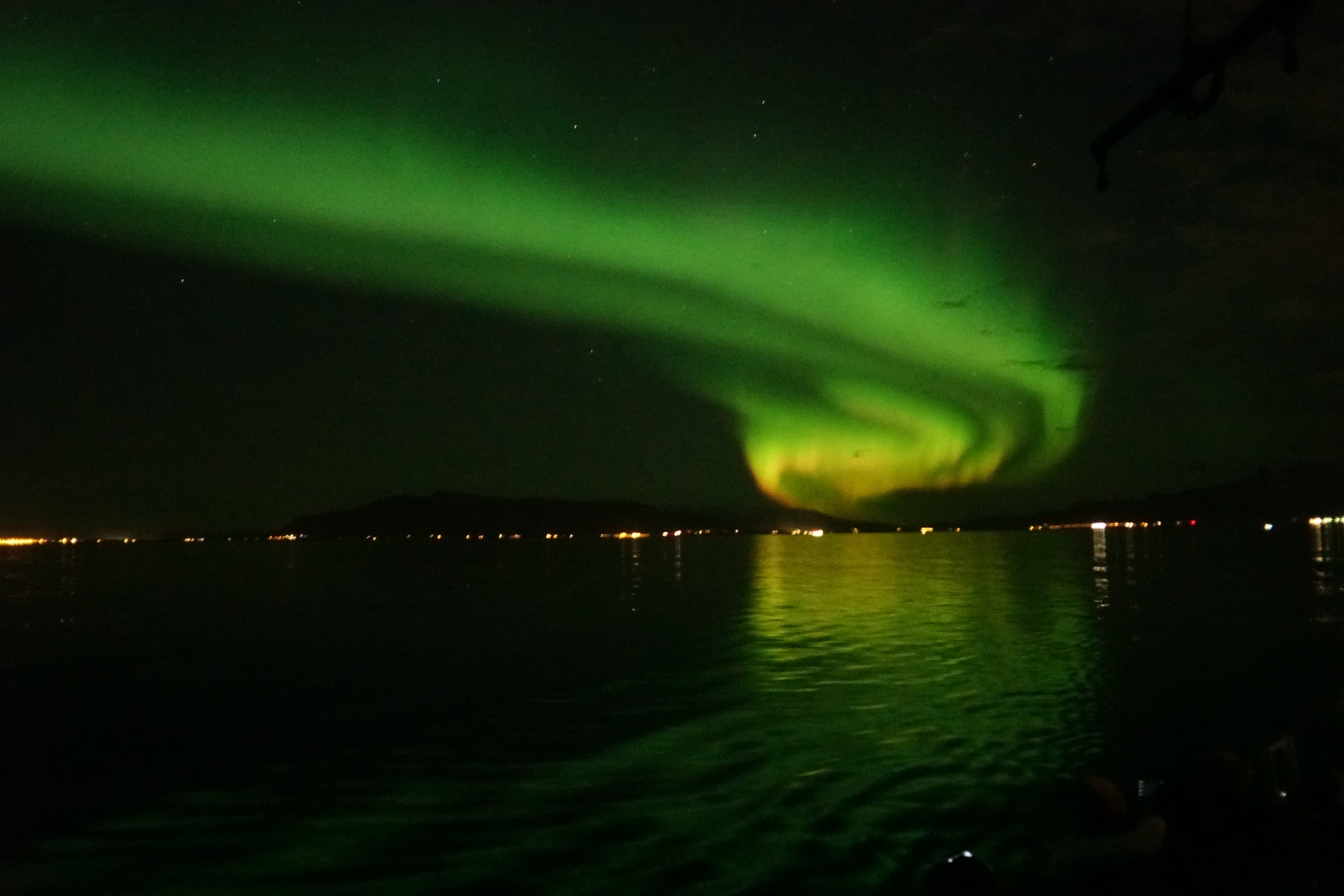 Whale Watching & Northern lights Combo Cruise from Reykjavik - photo 75