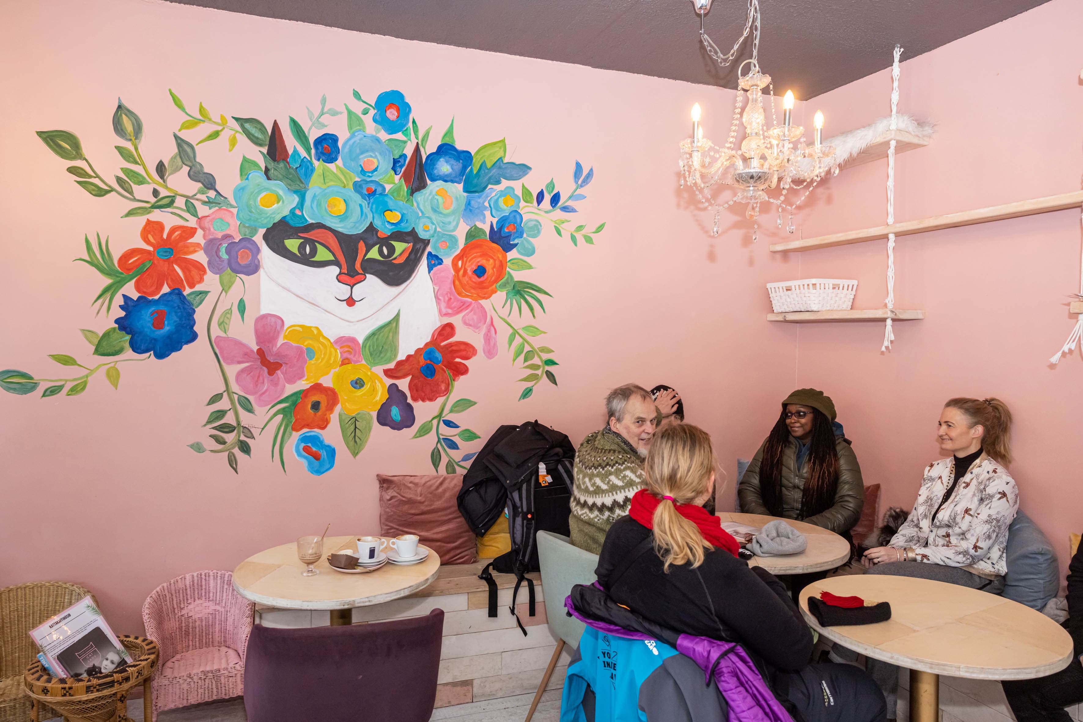 Private Reykjavik CatWalk - photo 2