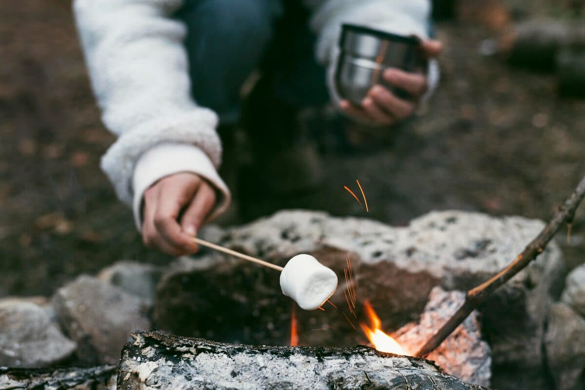 Aurora hunt with campfire, thermal suits & marshmallows - photo 19