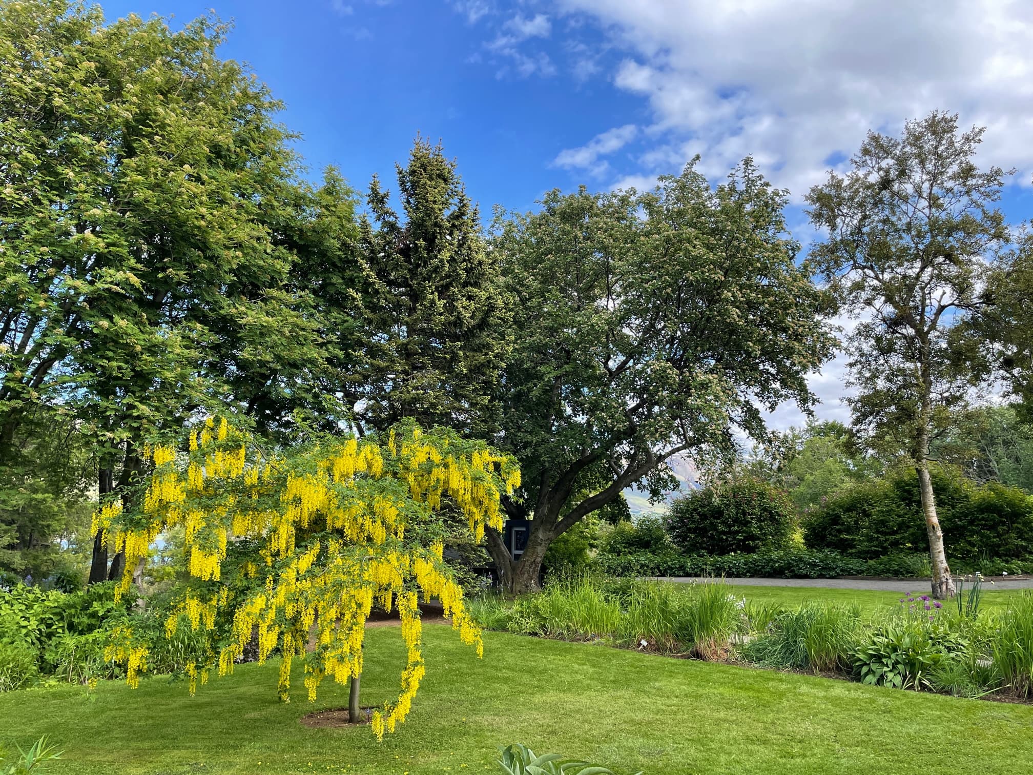 Goðafoss Waterfall and Akureyri Botanical Gardens, Shore Excursion - photo 5